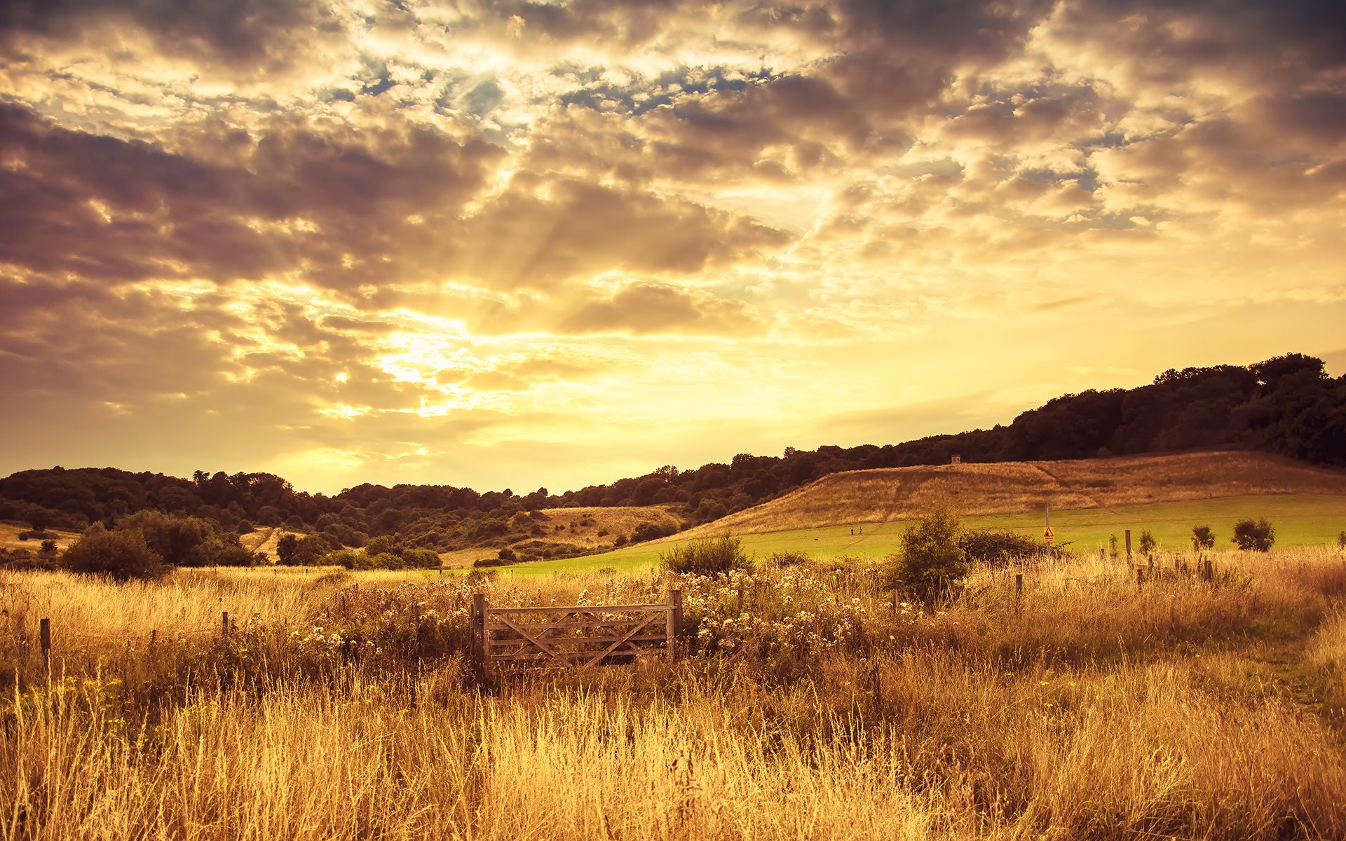 Descarga gratis la imagen Paisaje, Tierra/naturaleza en el escritorio de tu PC