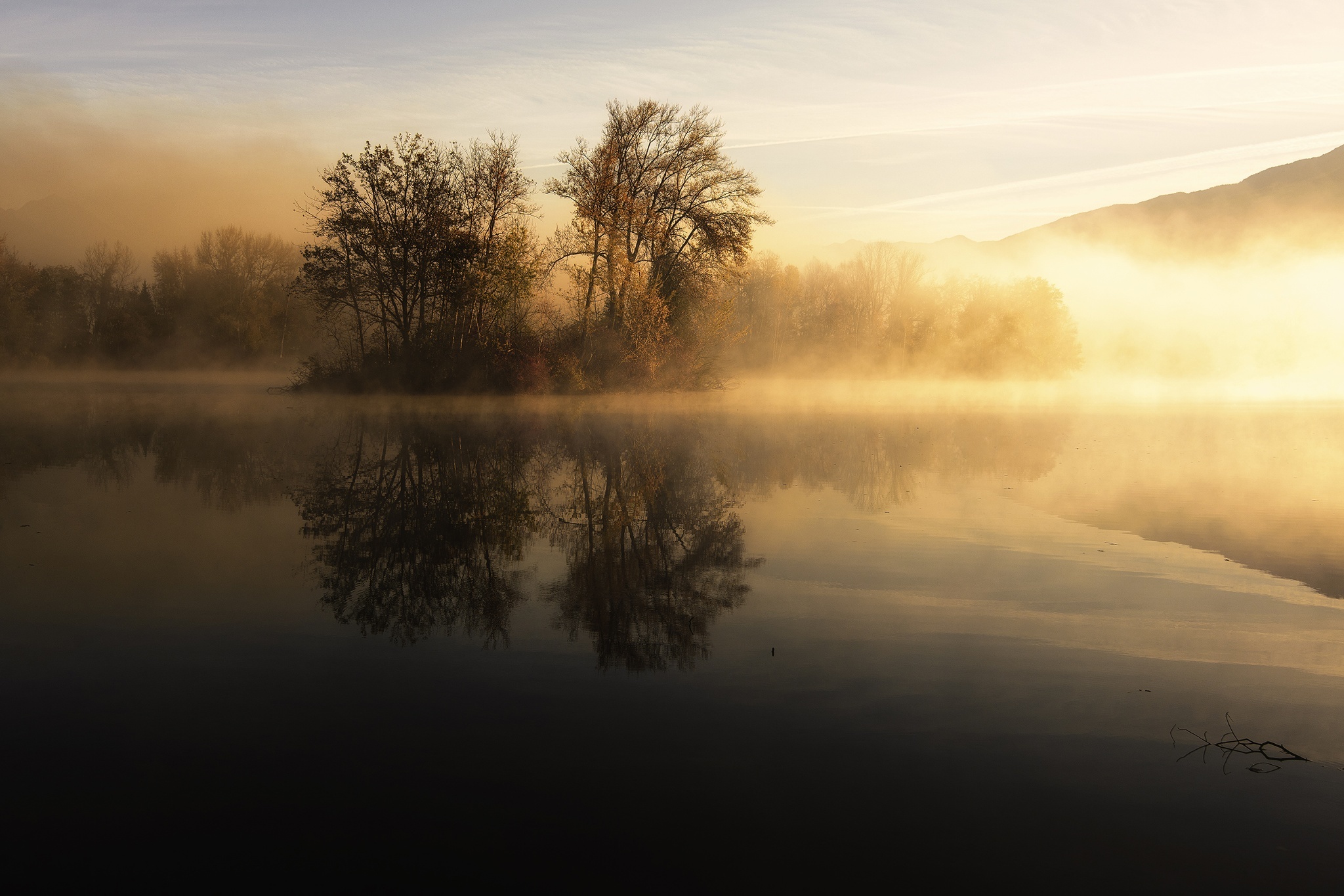 Handy-Wallpaper Natur, See, Baum, Nebel, Sonnenaufgang, Insel, Erde/natur, Spiegelung kostenlos herunterladen.