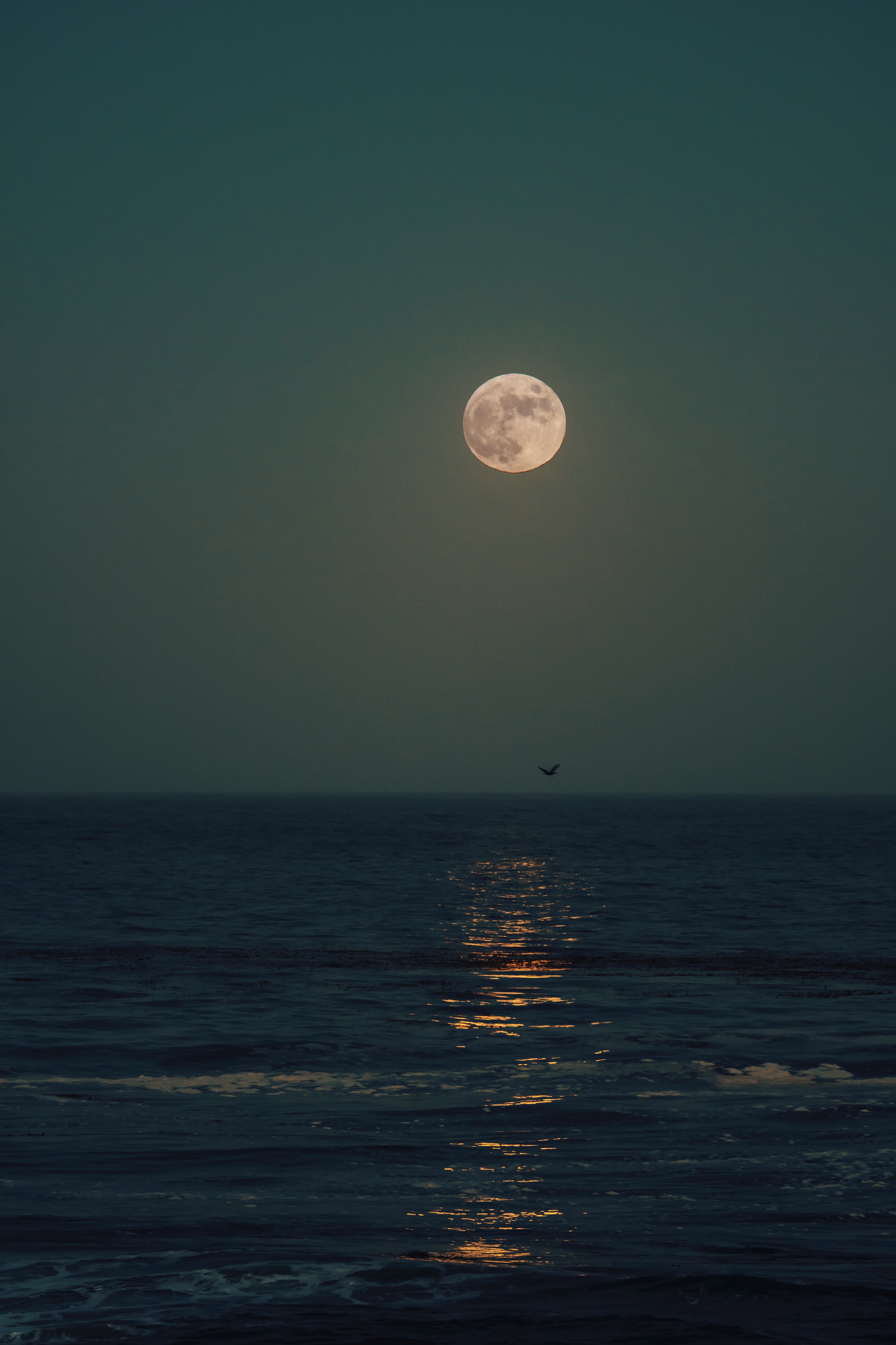 134053 скачать обои блики, луна, природа, море, ночь, горизонт - заставки и картинки бесплатно