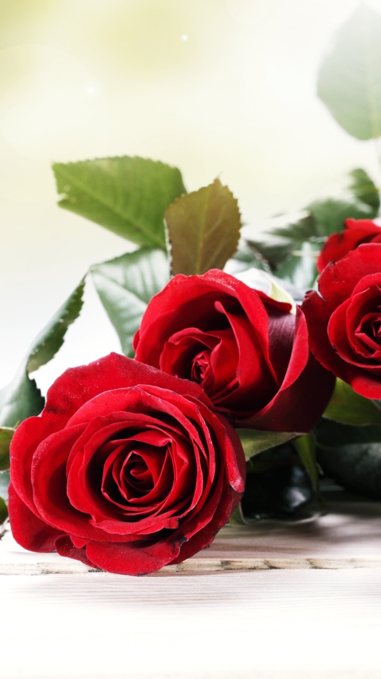 Download mobile wallpaper Flowers, Love, Flower, Rose, Bouquet, Earth, Red Rose, Red Flower for free.