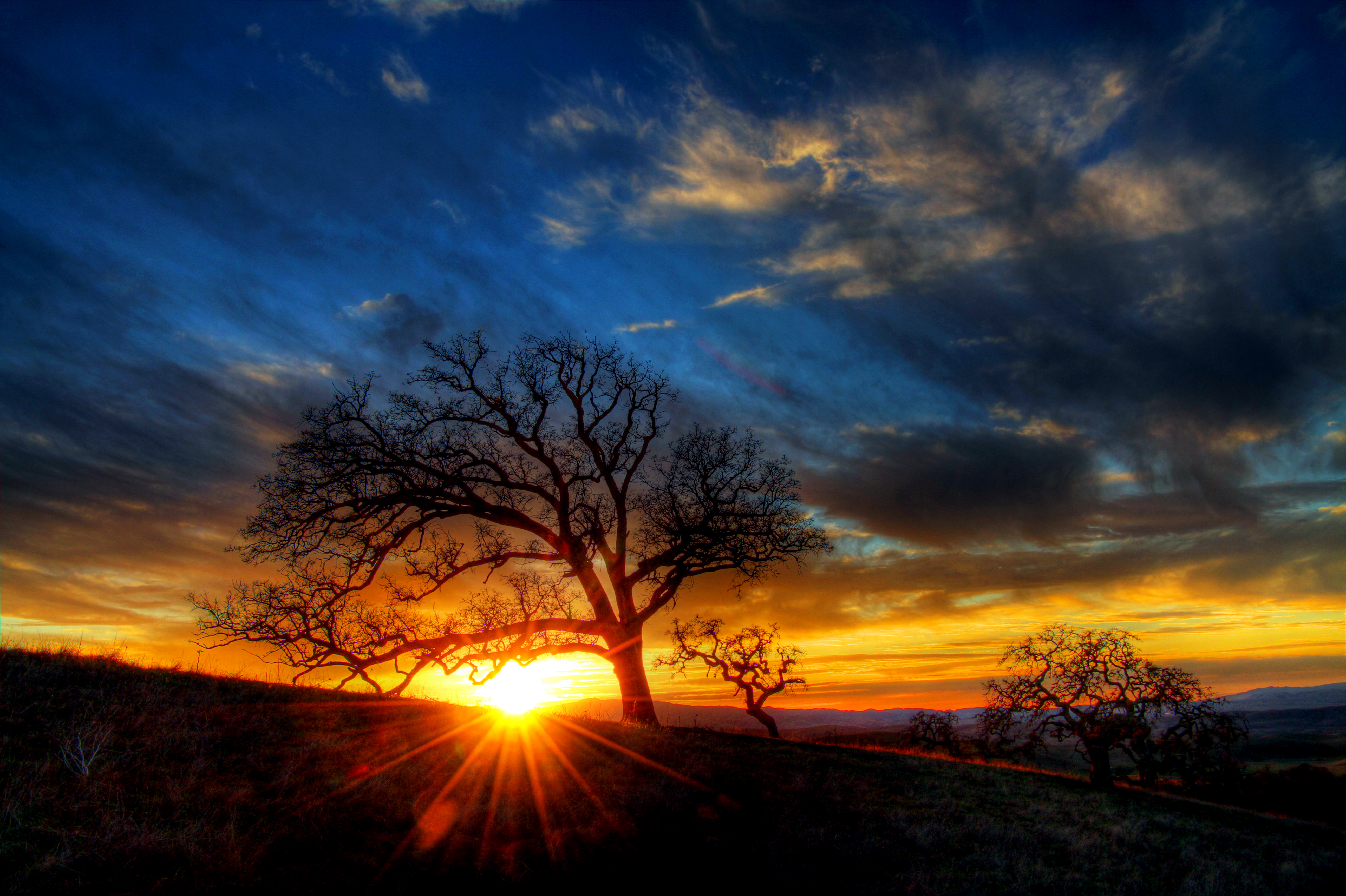 Download mobile wallpaper Nature, Sunset, Tree, Earth, Sunbeam for free.