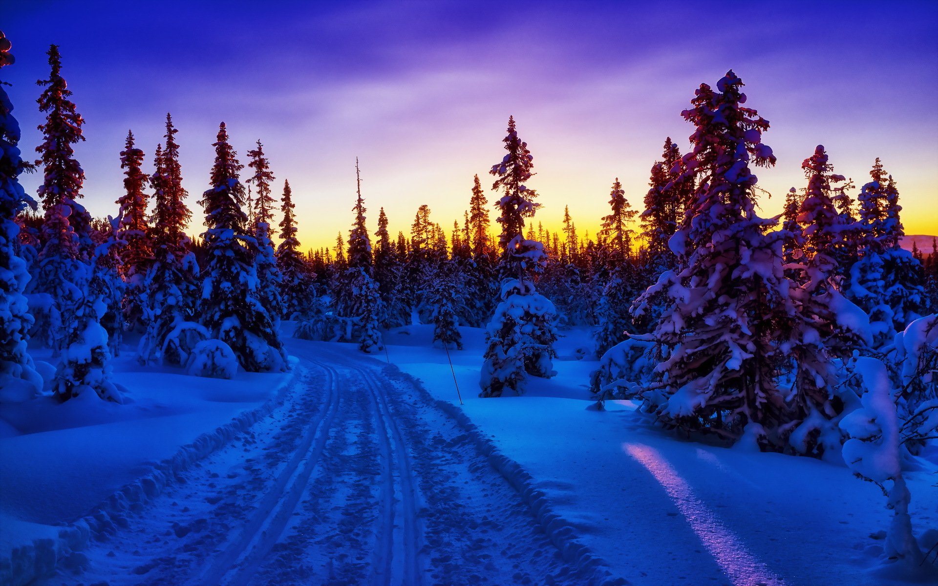 Descarga gratis la imagen Invierno, Árbol, Carretera, Atardecer, Tierra/naturaleza en el escritorio de tu PC