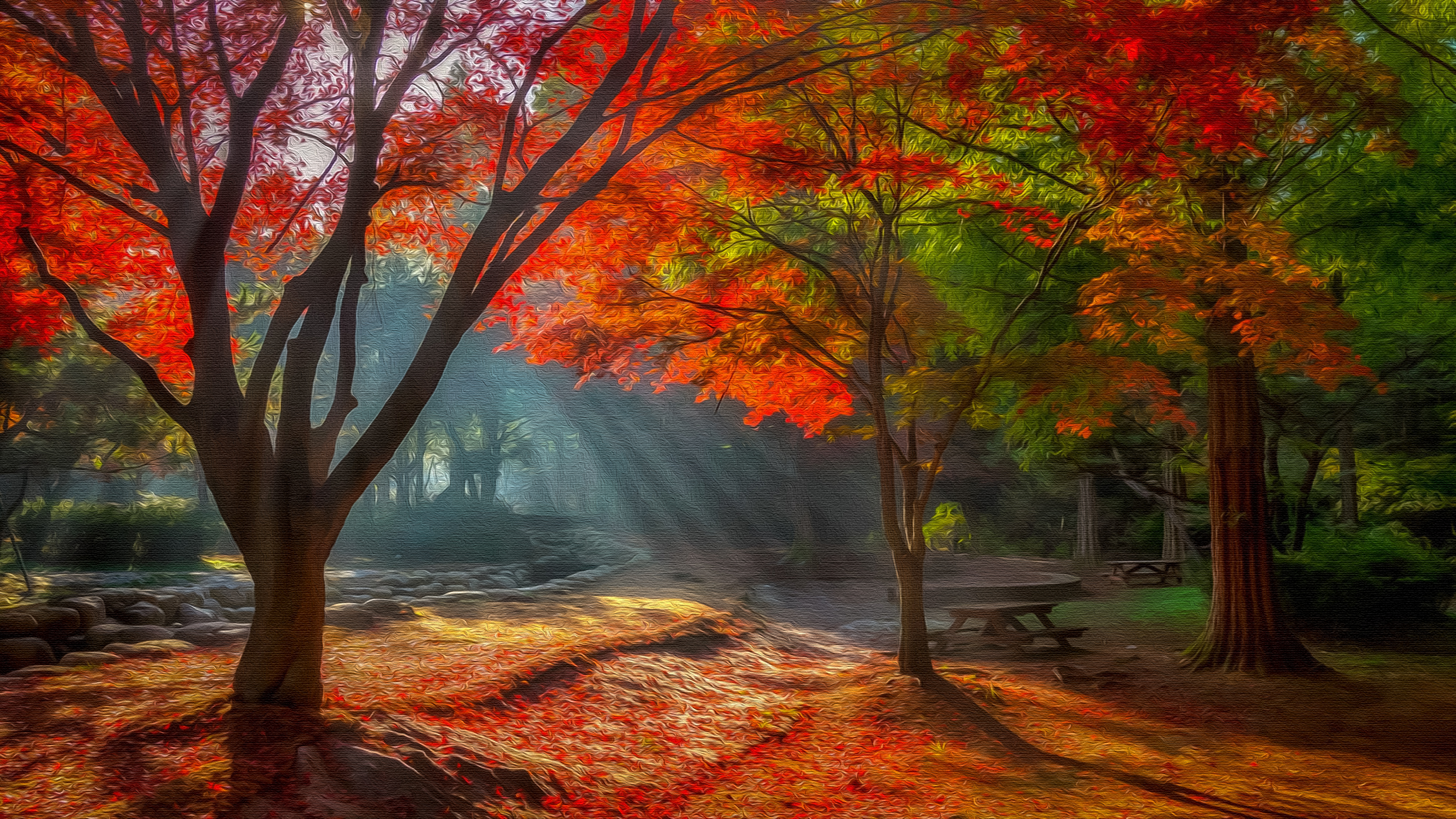 Laden Sie das Herbst, Baum, Erde/natur-Bild kostenlos auf Ihren PC-Desktop herunter