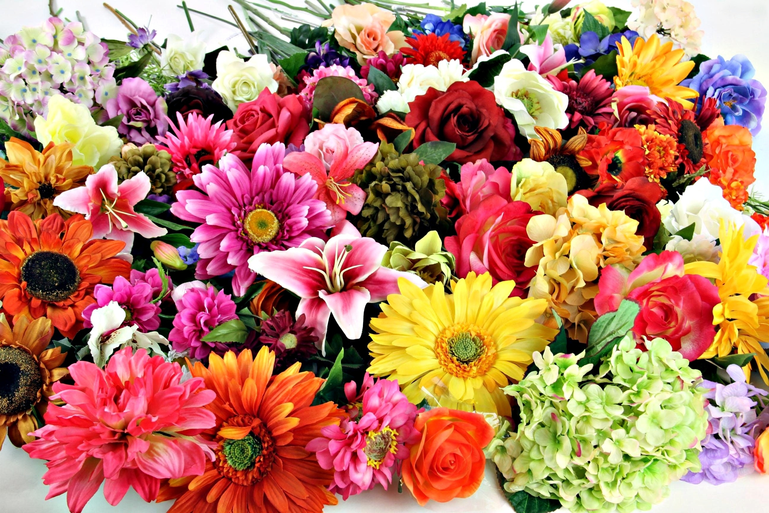 Download mobile wallpaper Flowers, Flower, Rose, Earth, Colors, Colorful, Lily, Hydrangea, Gerbera for free.