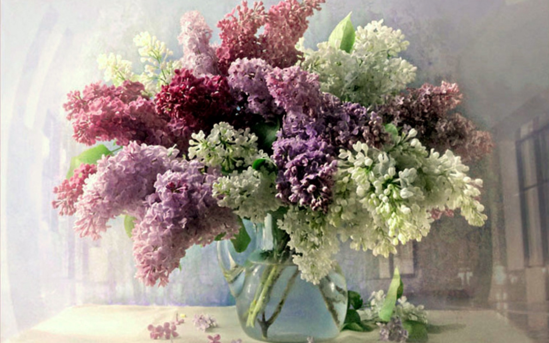 Handy-Wallpaper Blume, Lila, Vase, Weiße Blume, Lila Blume, Menschengemacht kostenlos herunterladen.