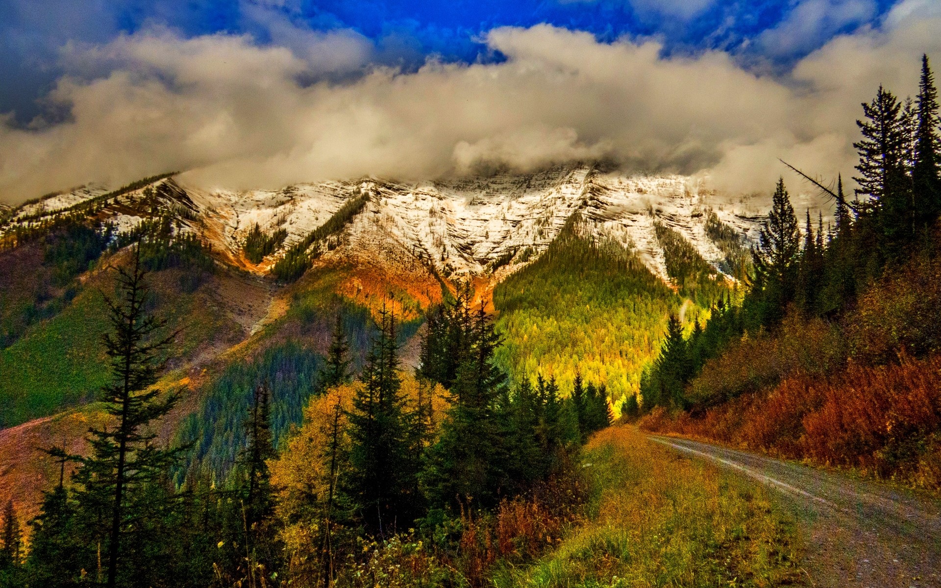 PCデスクトップに風景, 木, 山, 道, 森, 霧, 地球, 山岳, 未舗装の道路画像を無料でダウンロード