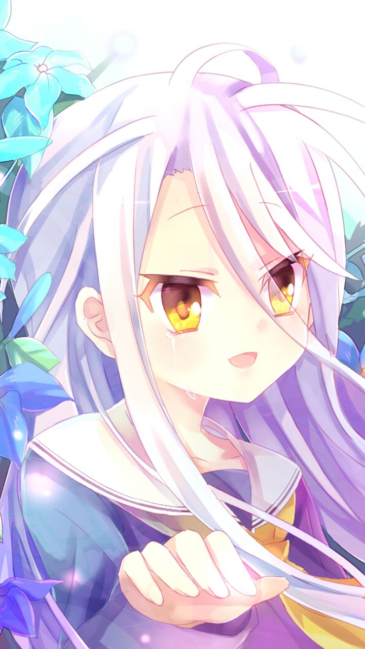 Baixar papel de parede para celular de Anime, Shiro (Sem Jogo Sem Vida), No Game No Life gratuito.