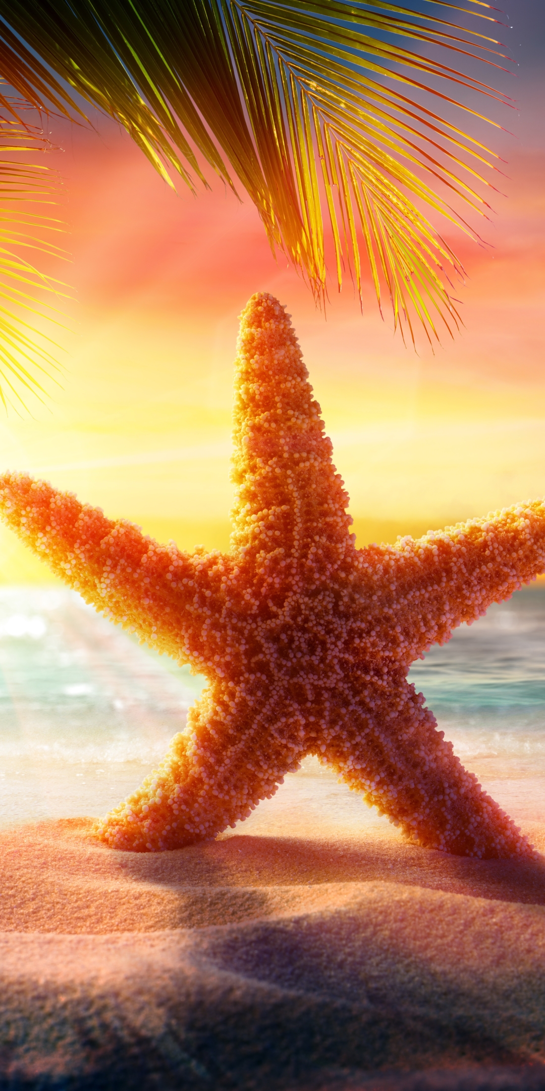 Download mobile wallpaper Sand, Starfish, Sunrise, Animal for free.