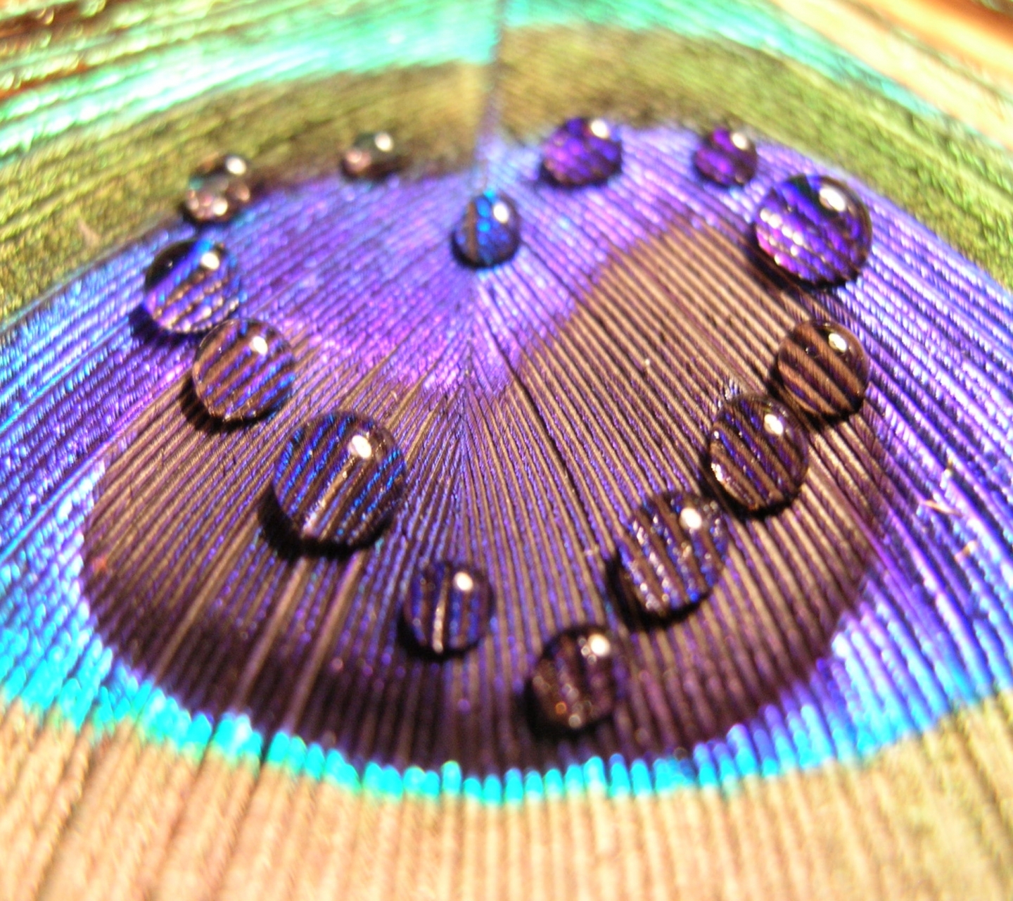 Download mobile wallpaper Love, Violet, Feather, Brown, Heart, Artistic, Water Drop for free.