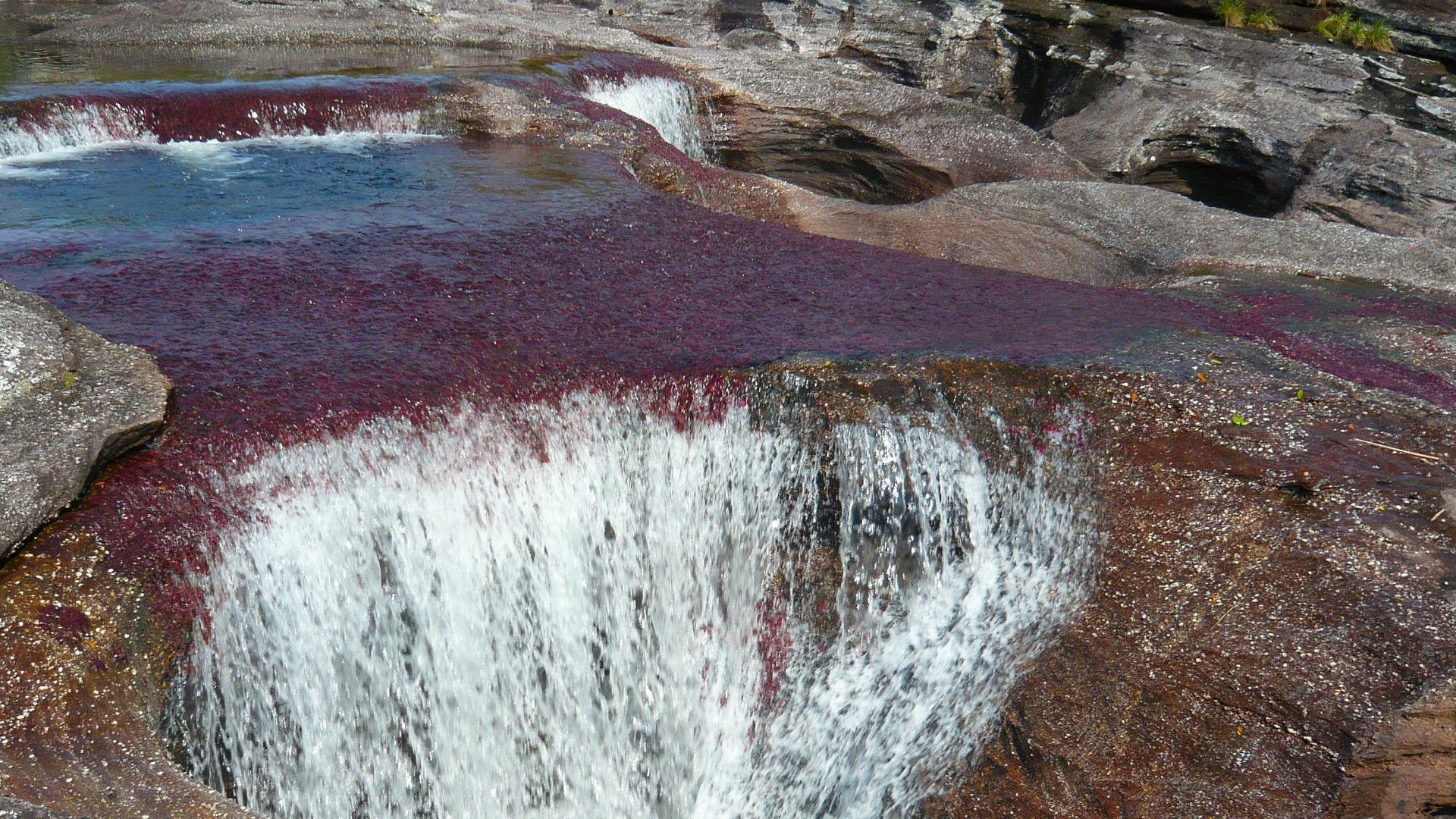 641149 Bild herunterladen erde/natur, caño cristales - Hintergrundbilder und Bildschirmschoner kostenlos