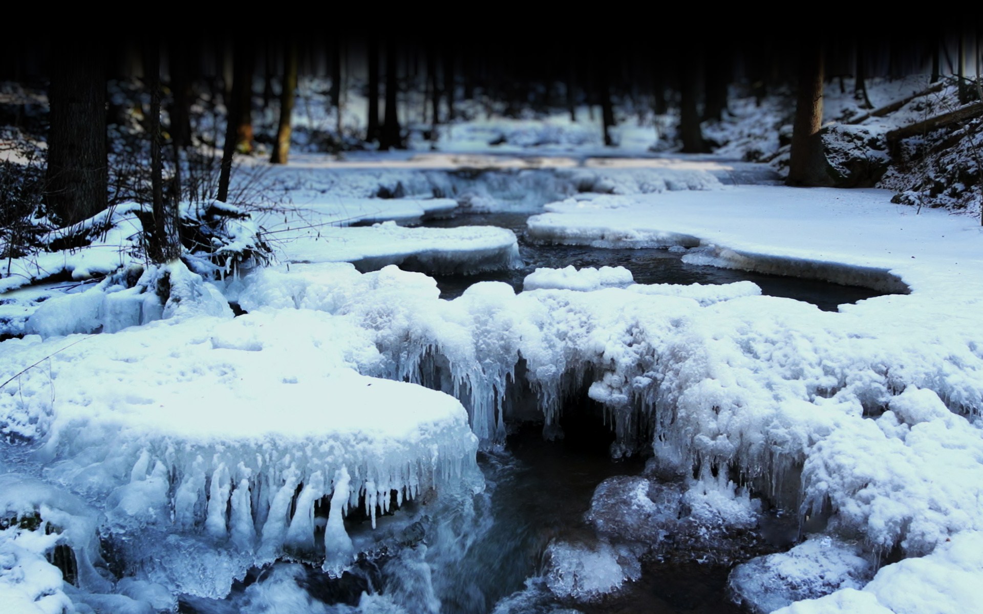 Descarga gratis la imagen Invierno, Tierra/naturaleza en el escritorio de tu PC