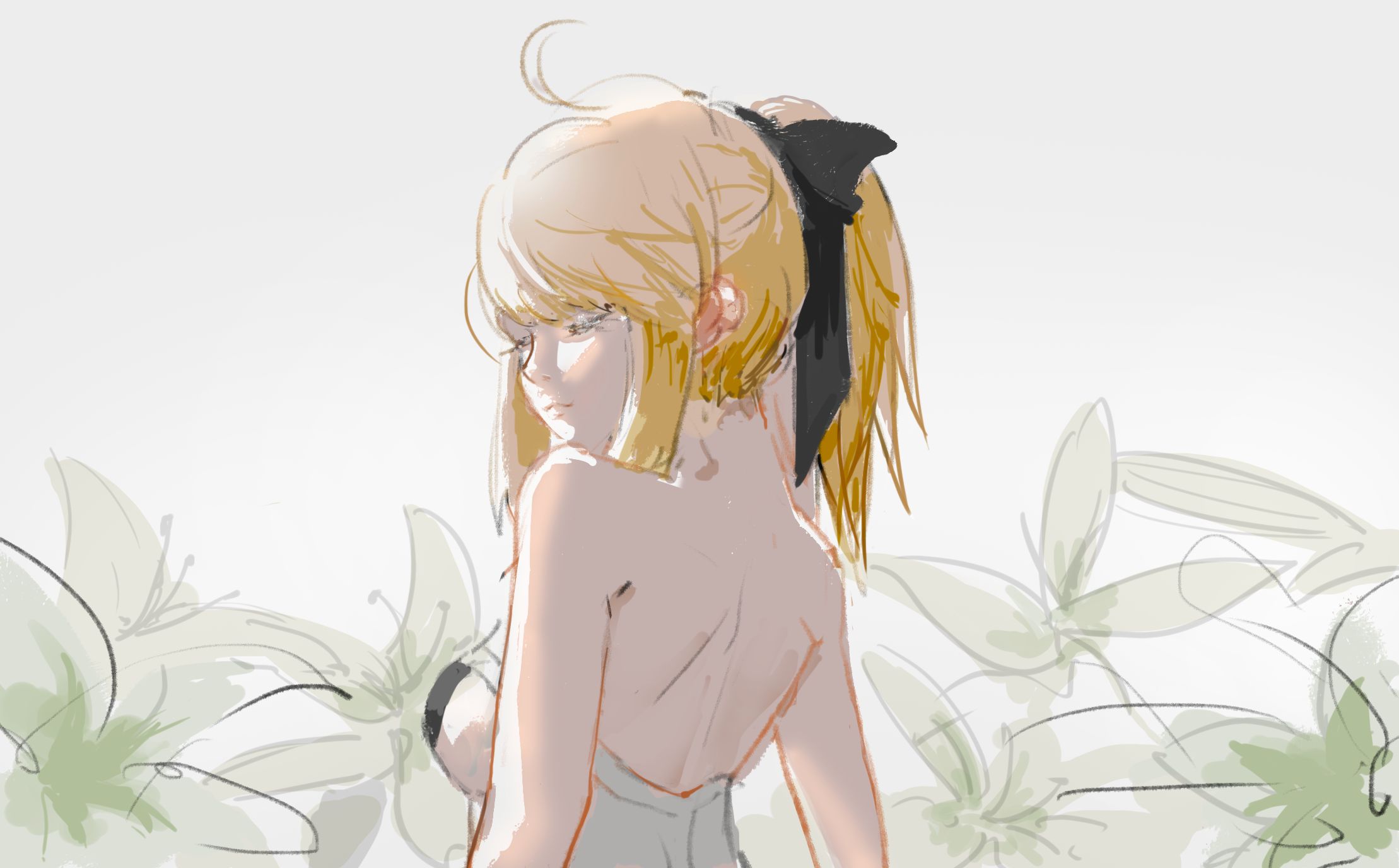 Free download wallpaper Anime, Saber Lily, Fate/unlimited Codes, Fate Series on your PC desktop
