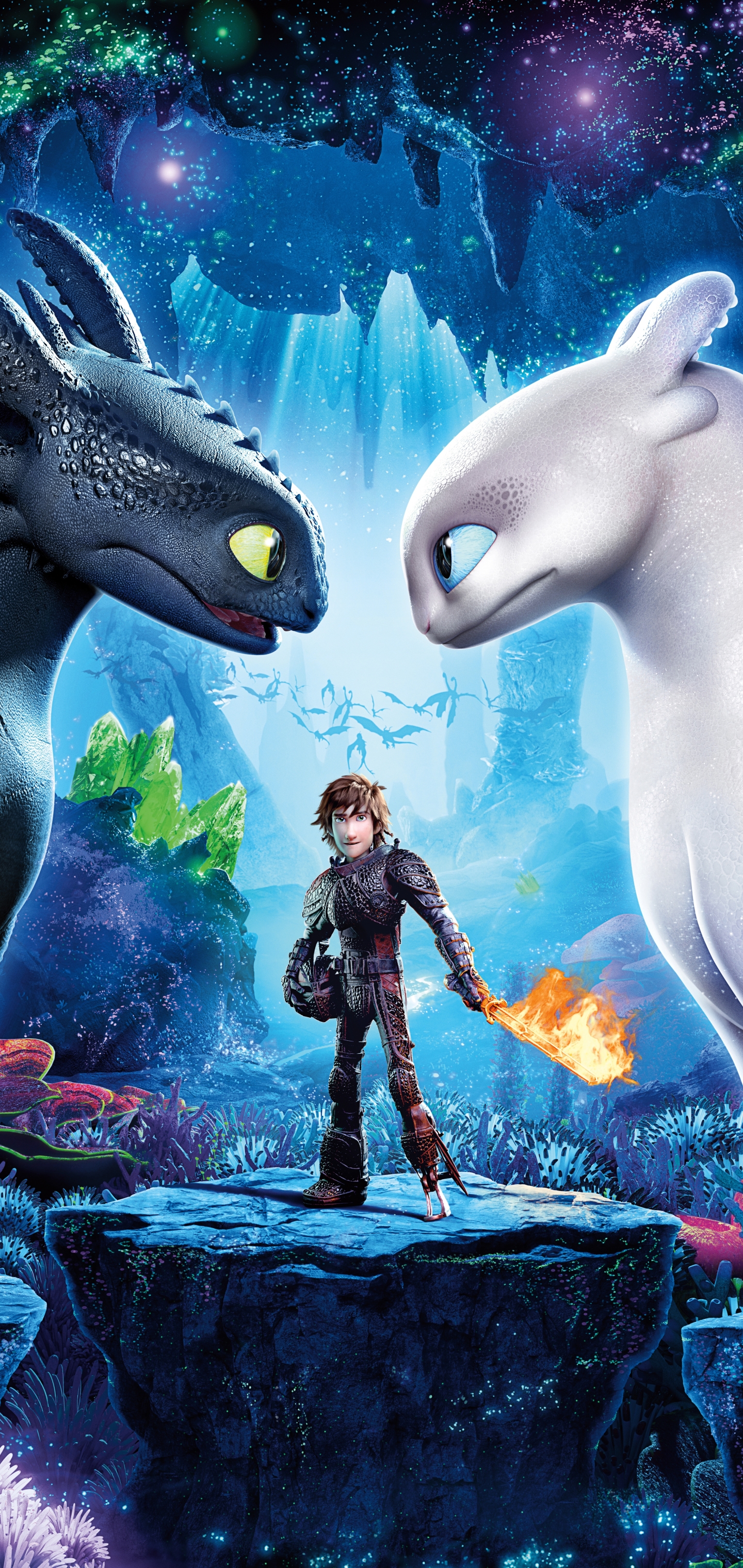 Free download wallpaper Movie, Toothless (How To Train Your Dragon), Hiccup (How To Train Your Dragon), How To Train Your Dragon, How To Train Your Dragon: The Hidden World, White Night Fury on your PC desktop