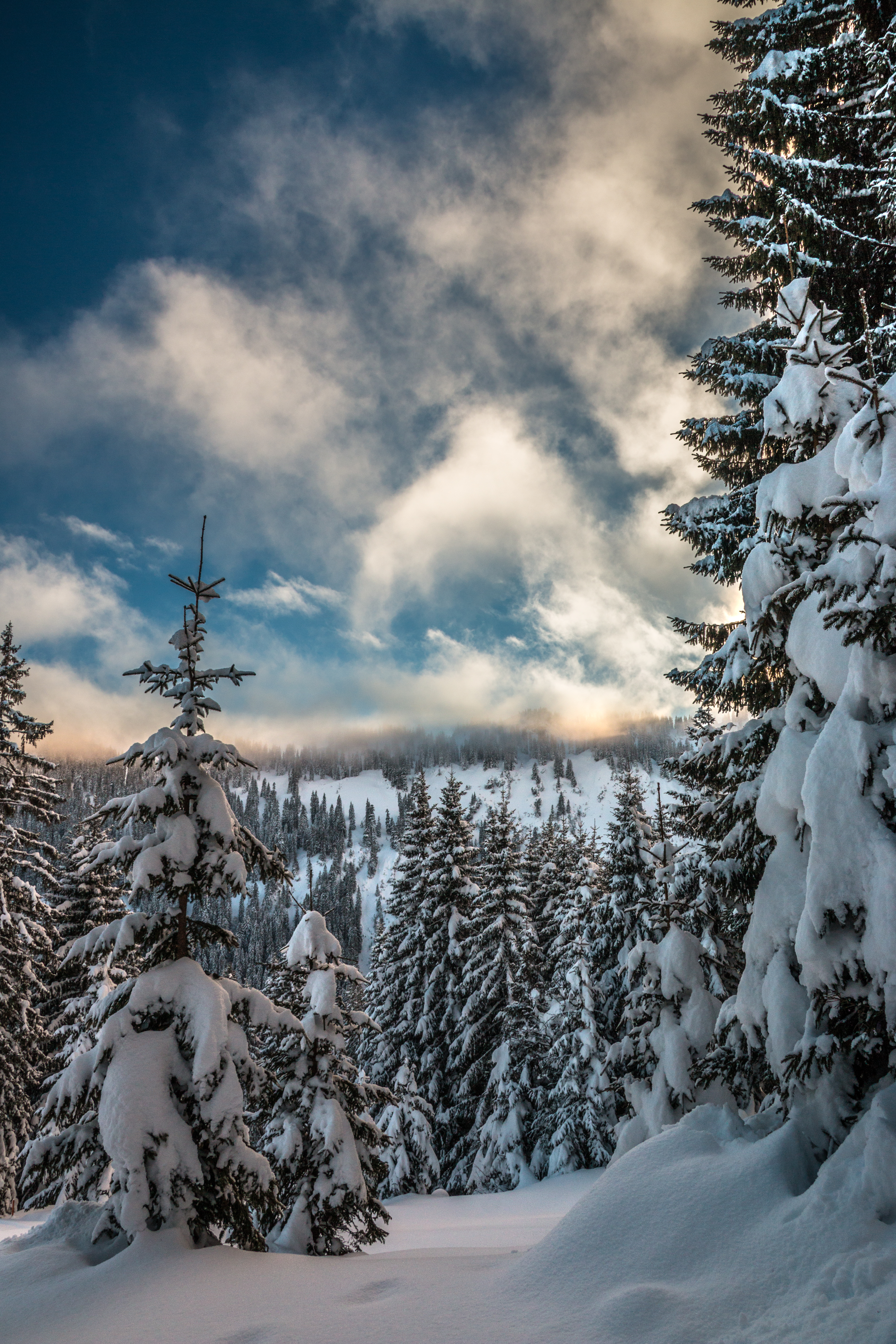 Handy-Wallpaper Mountains, Schnee, Geäst, Zweige, Aß, Aßen, Winter, Natur, Sky kostenlos herunterladen.
