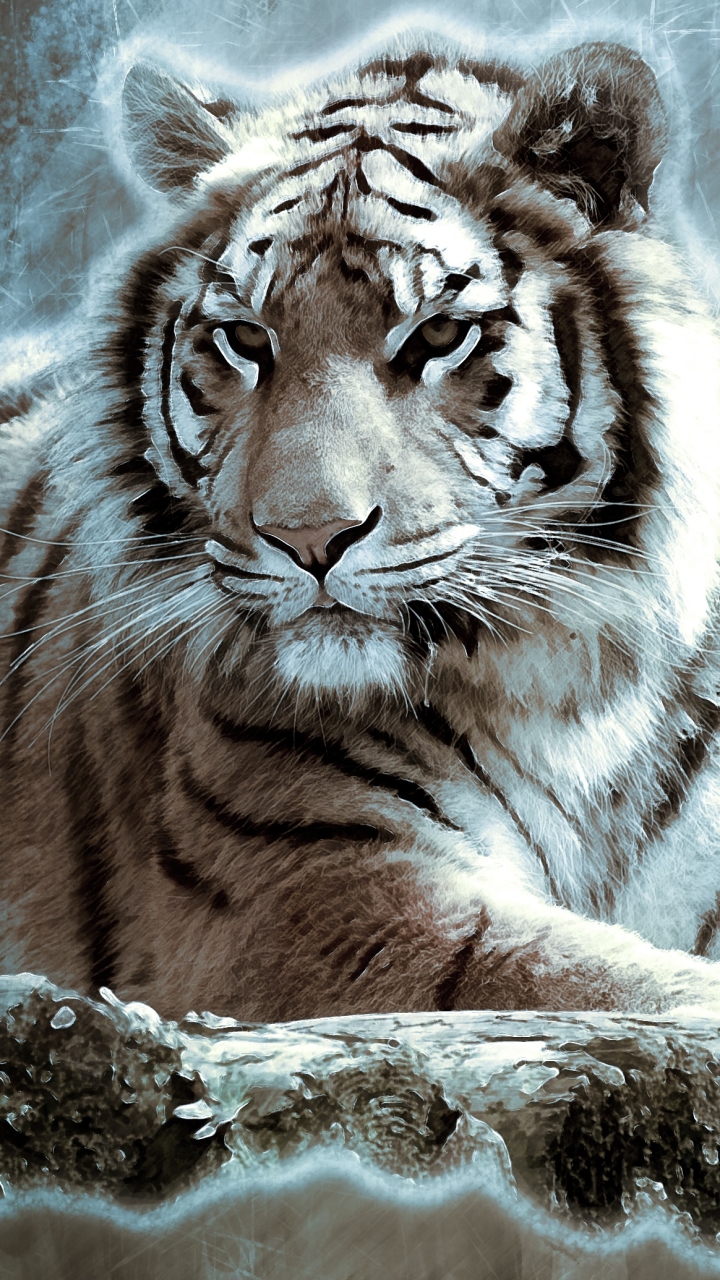 Descarga gratuita de fondo de pantalla para móvil de Animales, Gatos, Tigre, Tigre Blanco.