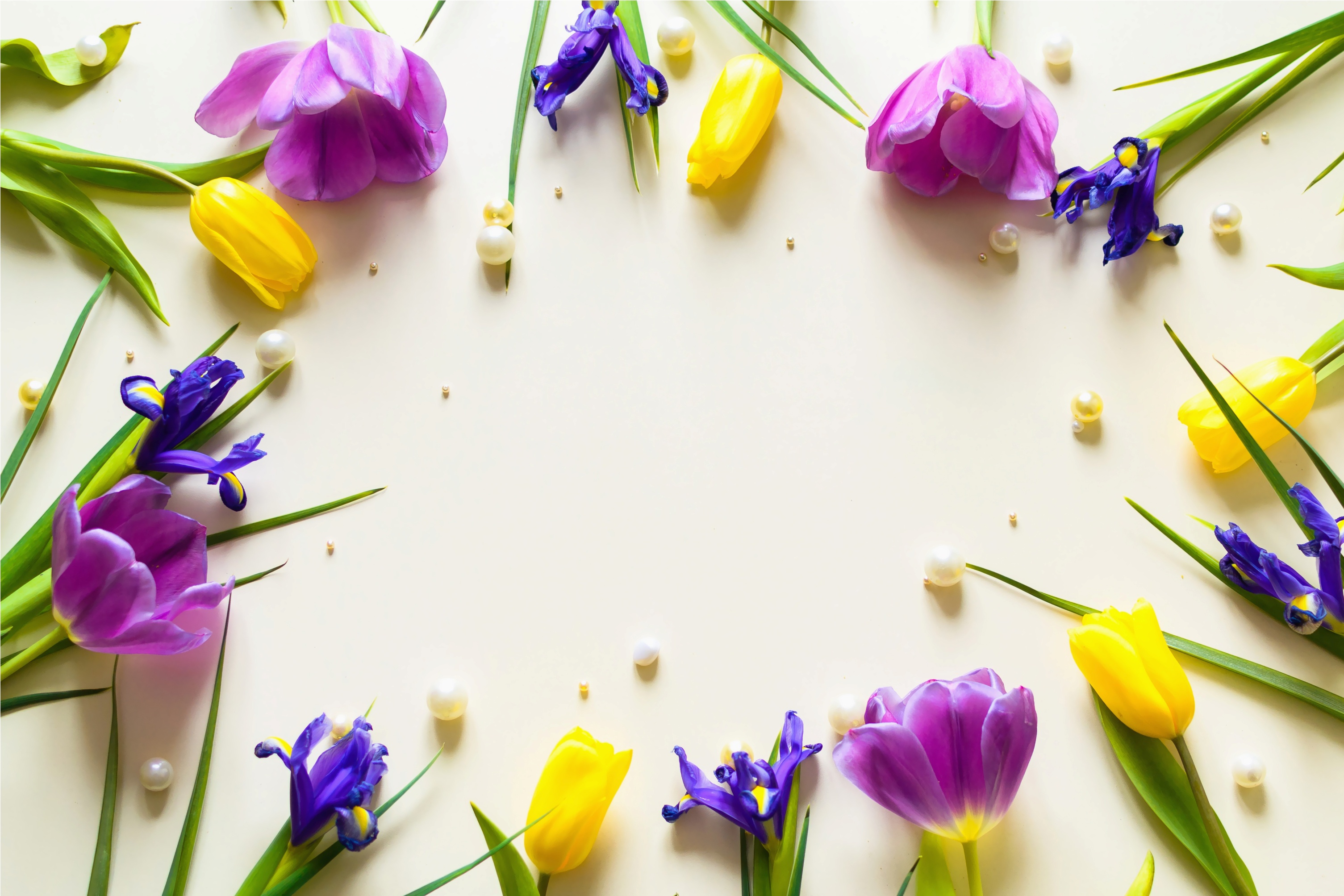 Laden Sie das Blume, Tulpe, Gelbe Blume, Menschengemacht, Pinke Blume, Stillleben, Blaue Blume-Bild kostenlos auf Ihren PC-Desktop herunter