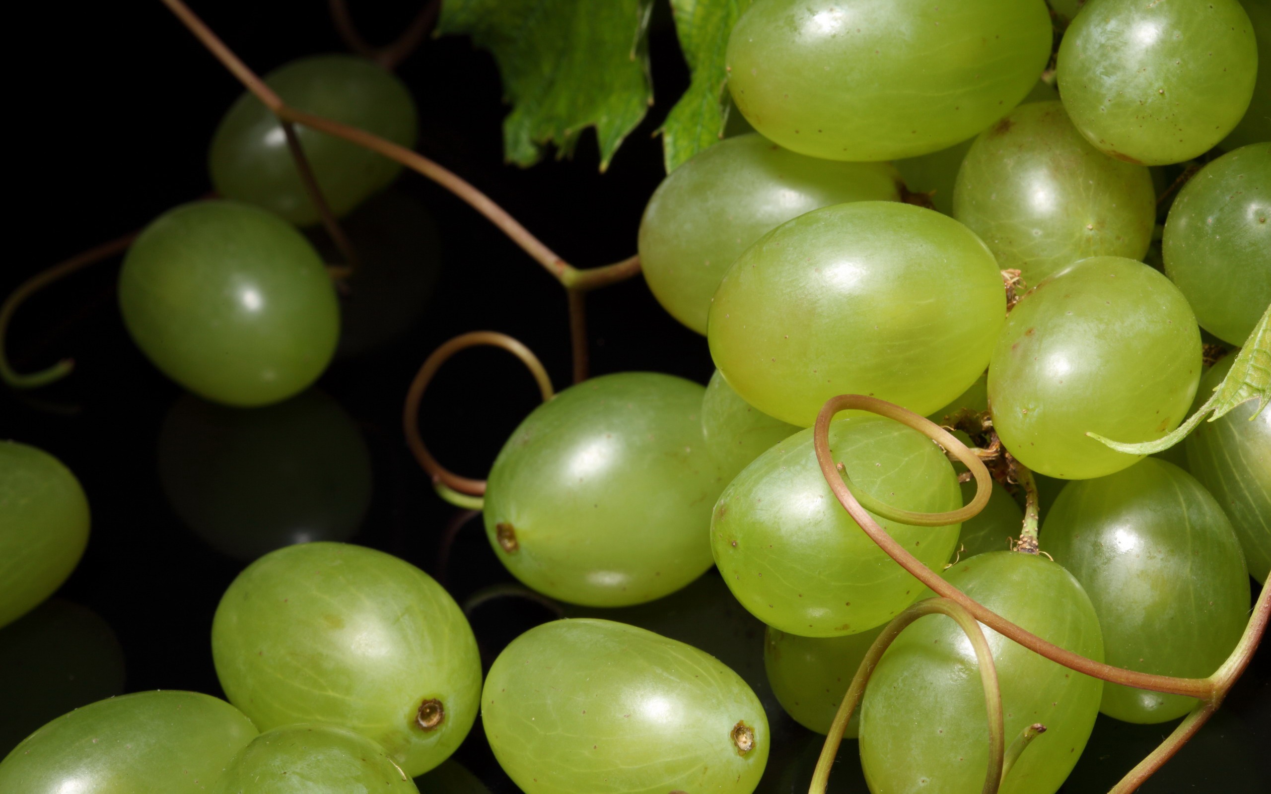 Download mobile wallpaper Grapes, Fruits, Food for free.