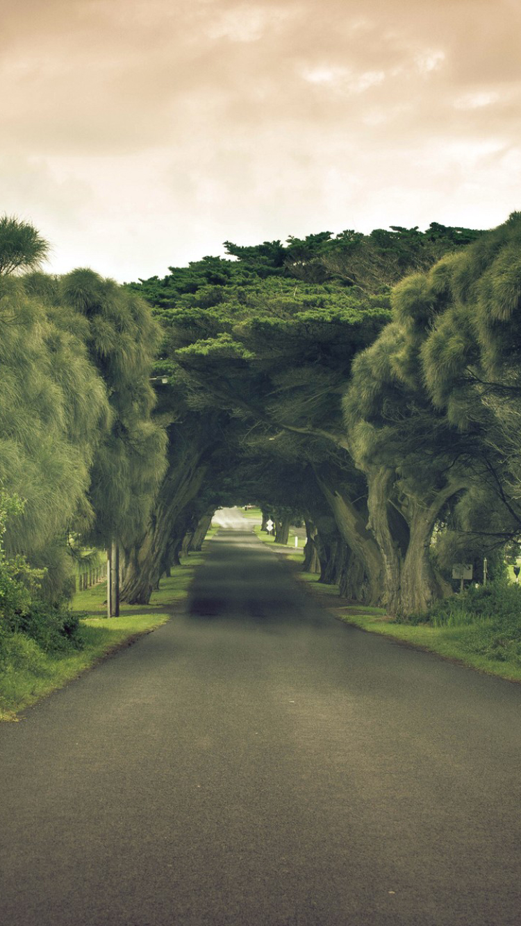 Download mobile wallpaper Road, Tree, Sign, Cloud, Tunnel, Australia, Man Made for free.