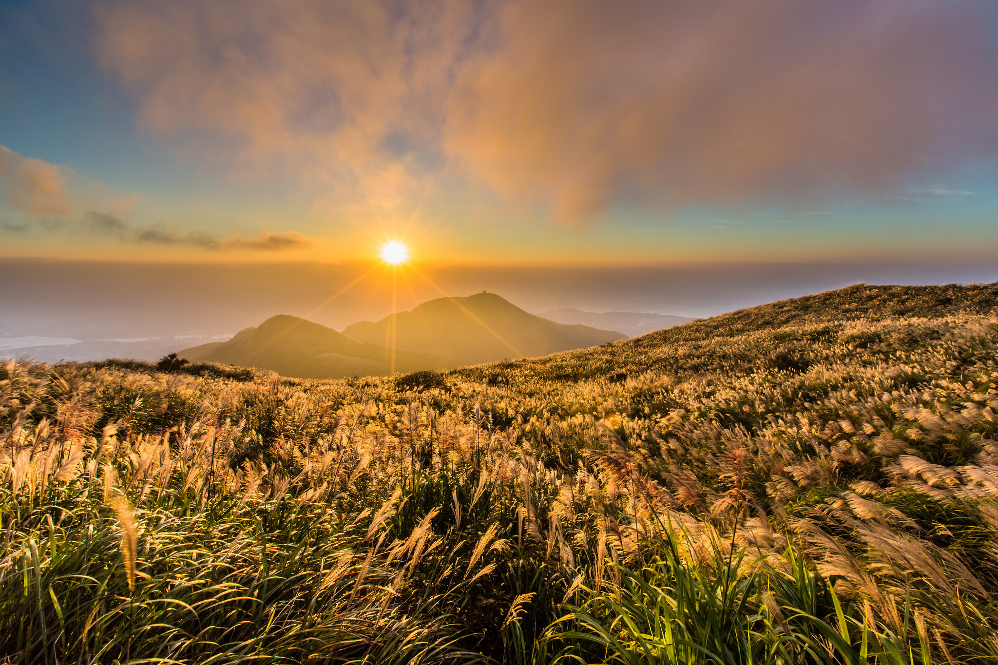 Laden Sie das Natur, Horizont, Sonnenaufgang, Gras, Himmel, Sonne, Erde/natur-Bild kostenlos auf Ihren PC-Desktop herunter