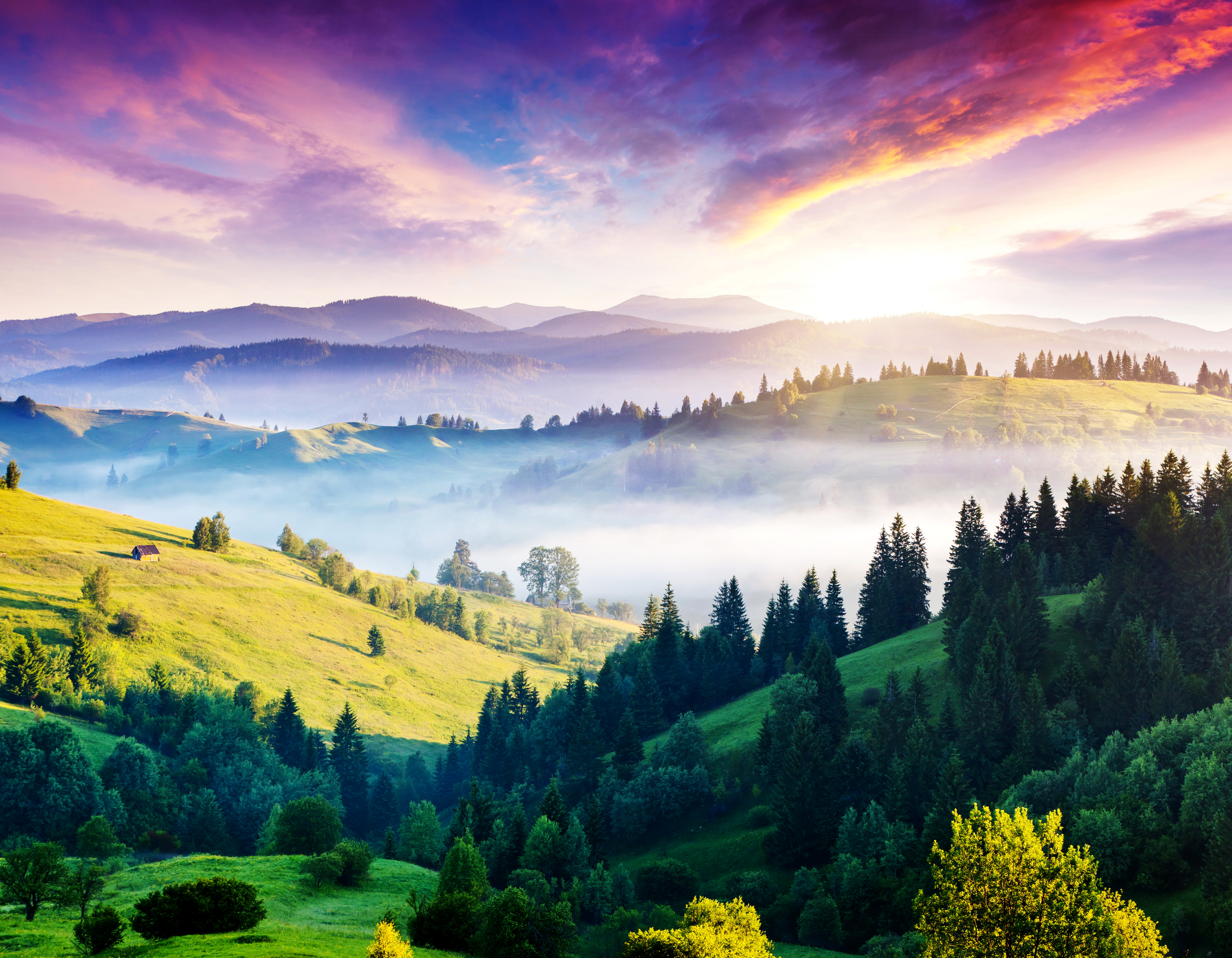 Free download wallpaper Landscape, Nature, Grass, Tree, Fog, Earth, Sunny on your PC desktop