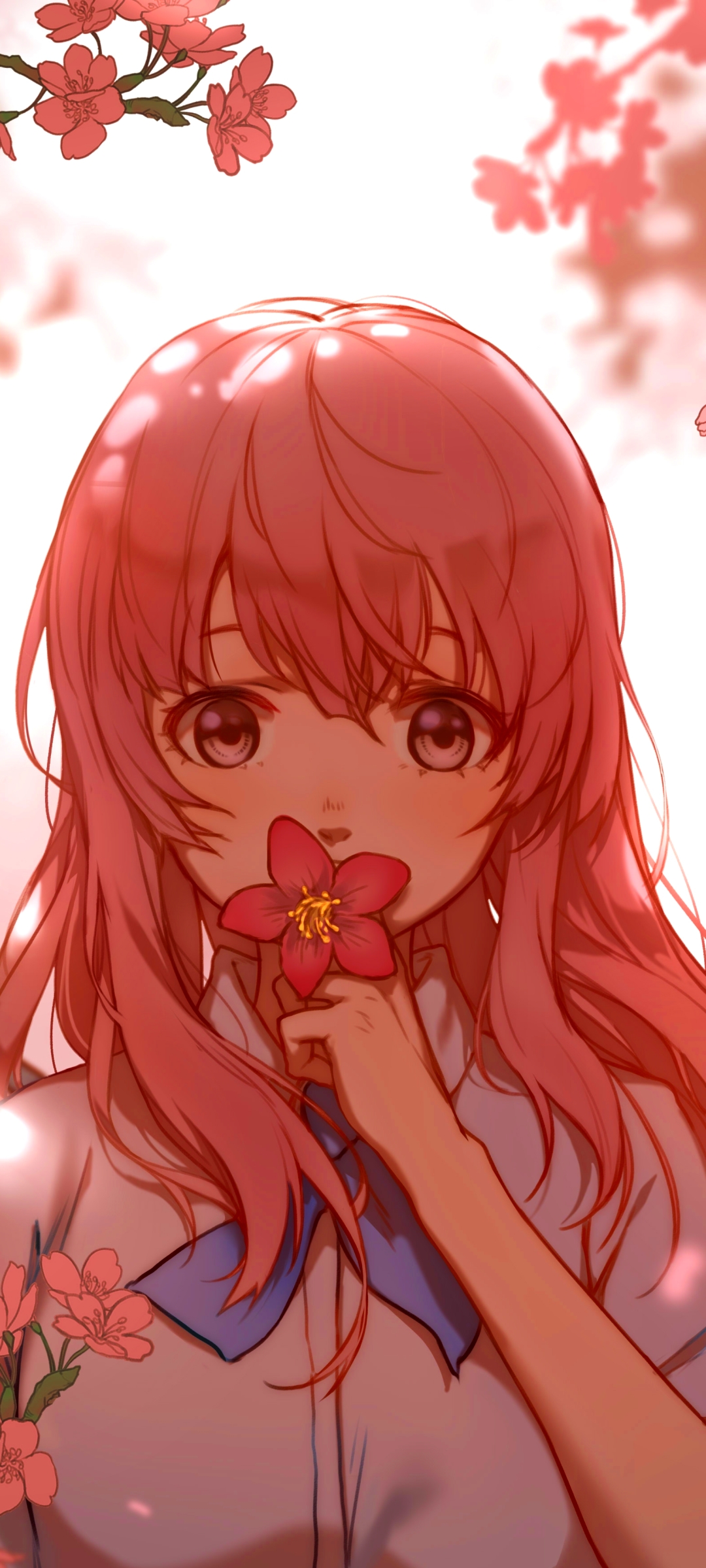 Descarga gratuita de fondo de pantalla para móvil de Animado, Cabello Rosado, Shouko Nishimiya, Koe No Katachi.