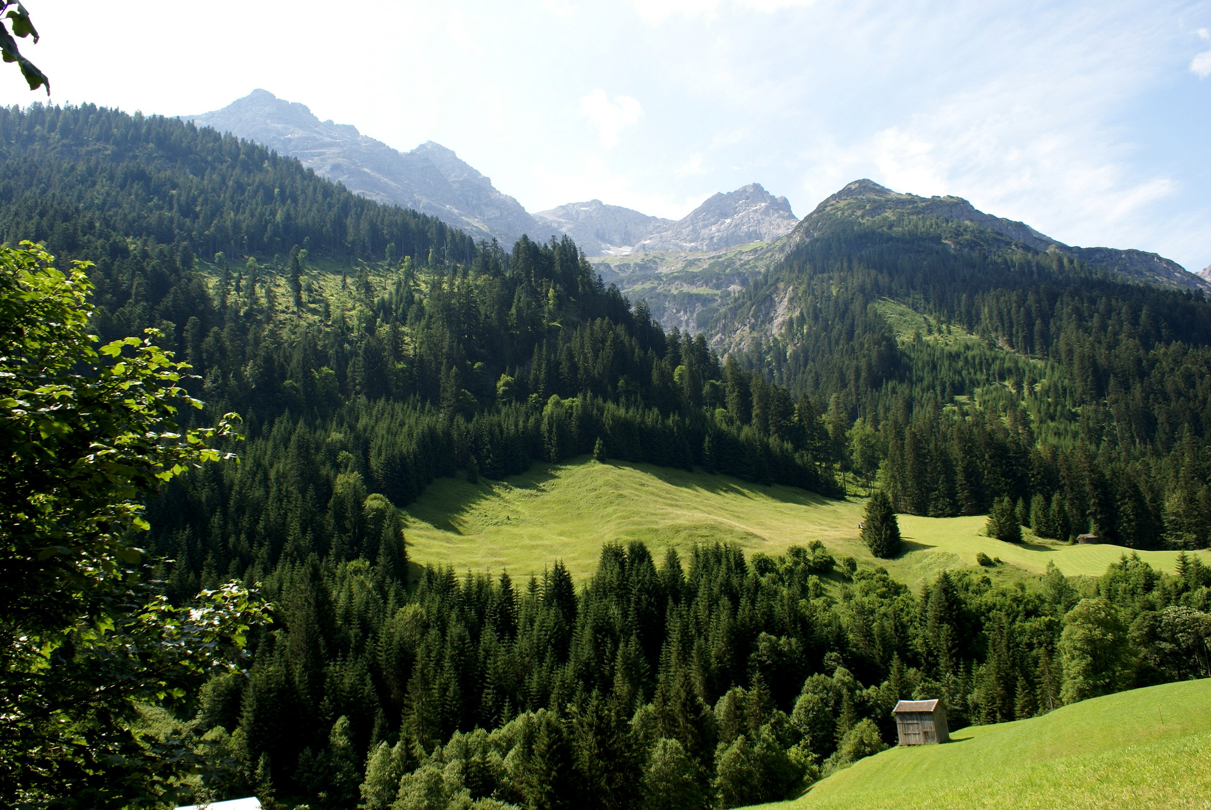 Handy-Wallpaper Berge, Wald, Gebirge, Erde/natur, Landschaft kostenlos herunterladen.