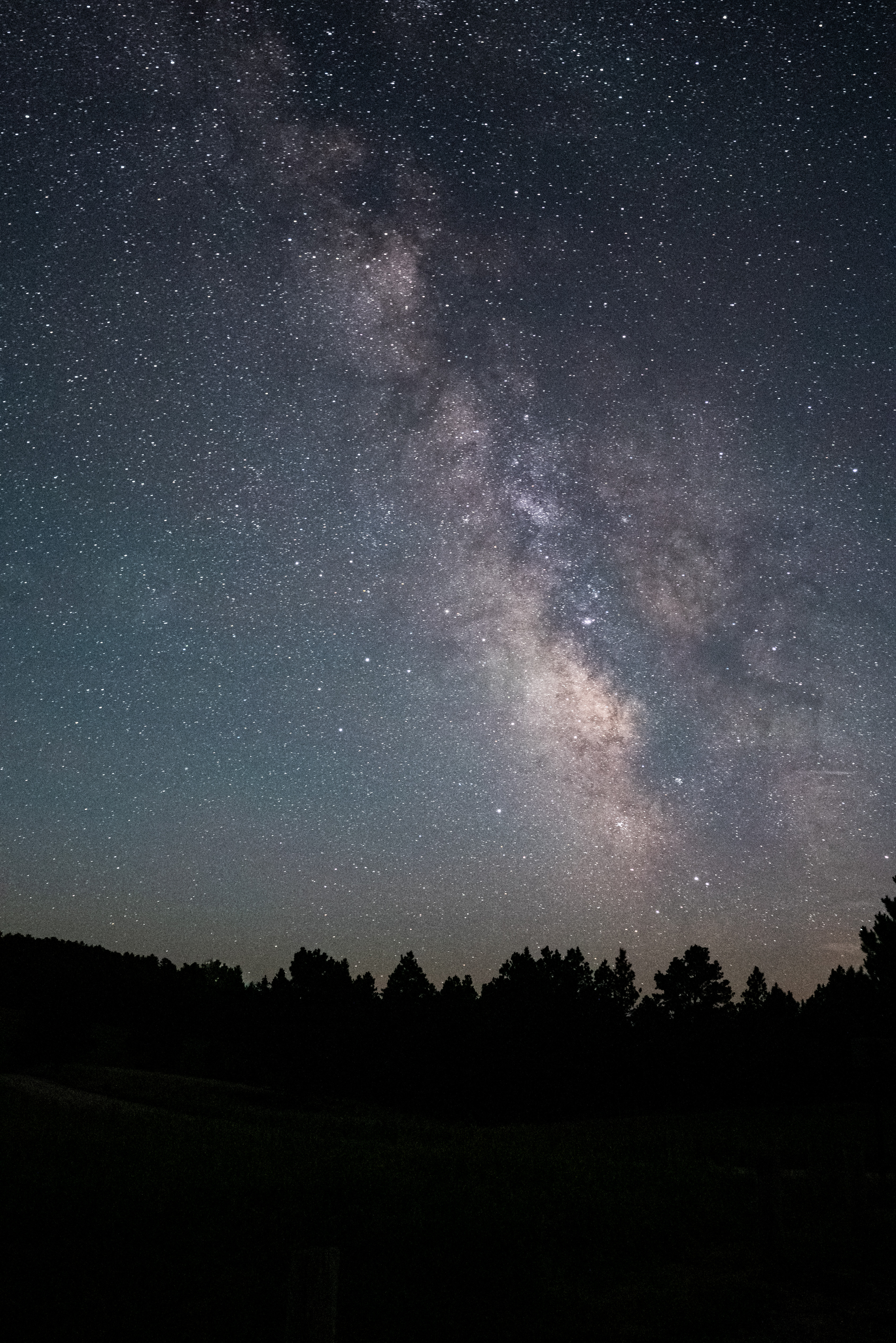 106507 descargar fondo de pantalla estrellas, noche, árboles, oscuro, cielo estrellado: protectores de pantalla e imágenes gratis