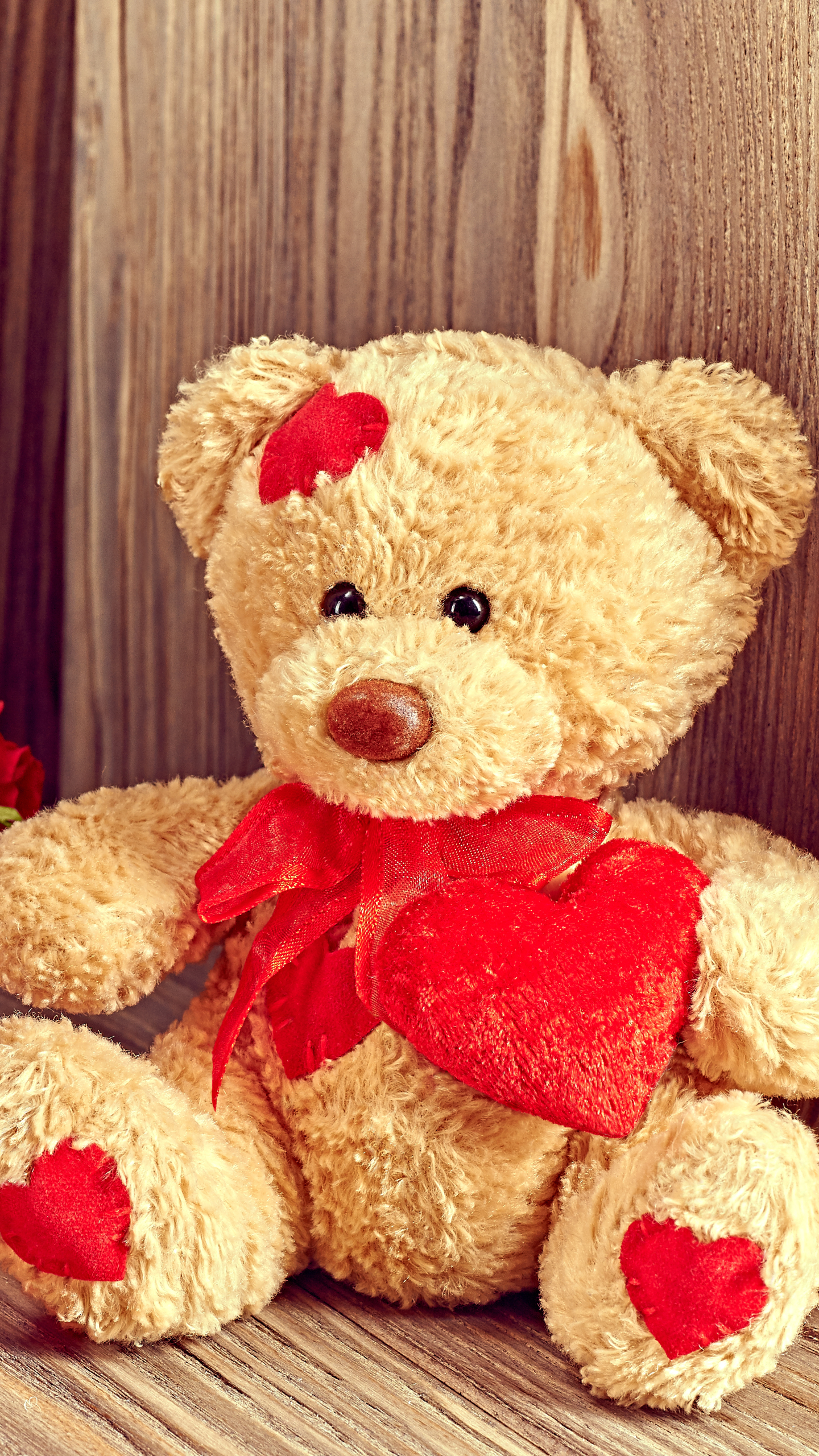 Handy-Wallpaper Feiertage, Liebe, Valentinstag, Teddybär, Blume, Rose, Rote Rose kostenlos herunterladen.