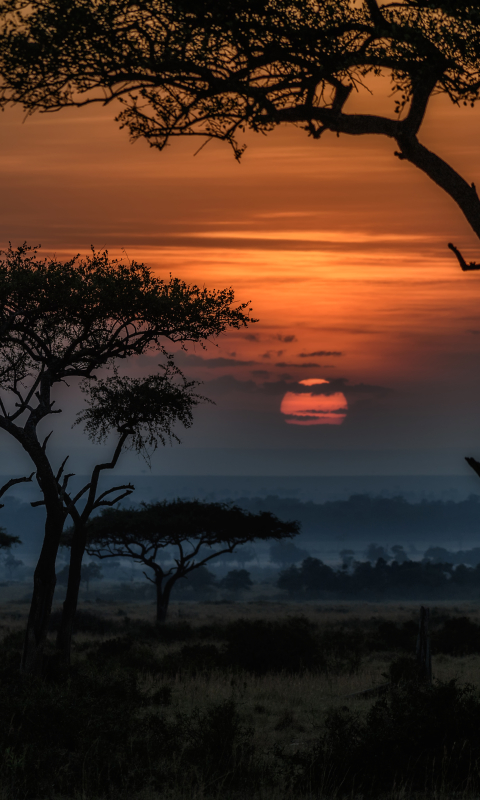 1295800 Hintergrundbild herunterladen afrika, erde/natur, sonnenaufgang, kenia, savanne, landschaft, dämmerung - Bildschirmschoner und Bilder kostenlos