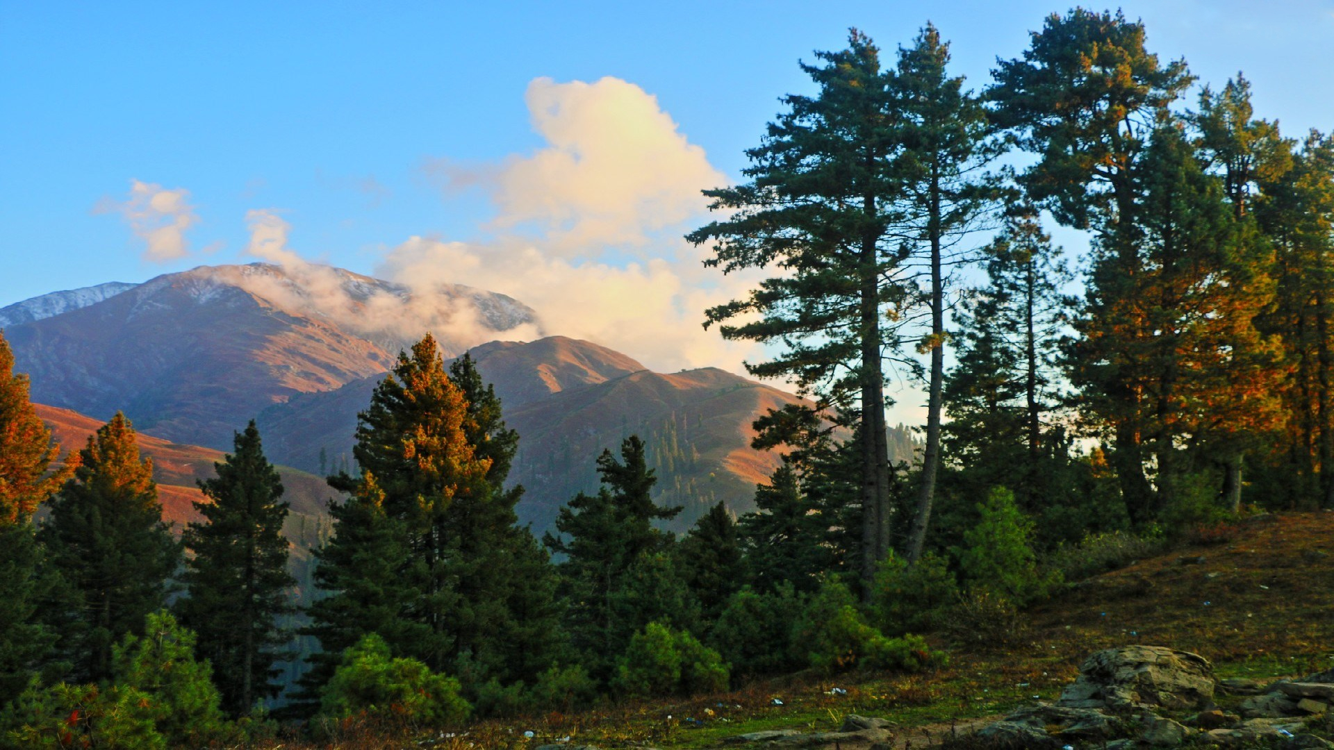 Free download wallpaper Landscape, Mountain, Tree, Photography on your PC desktop