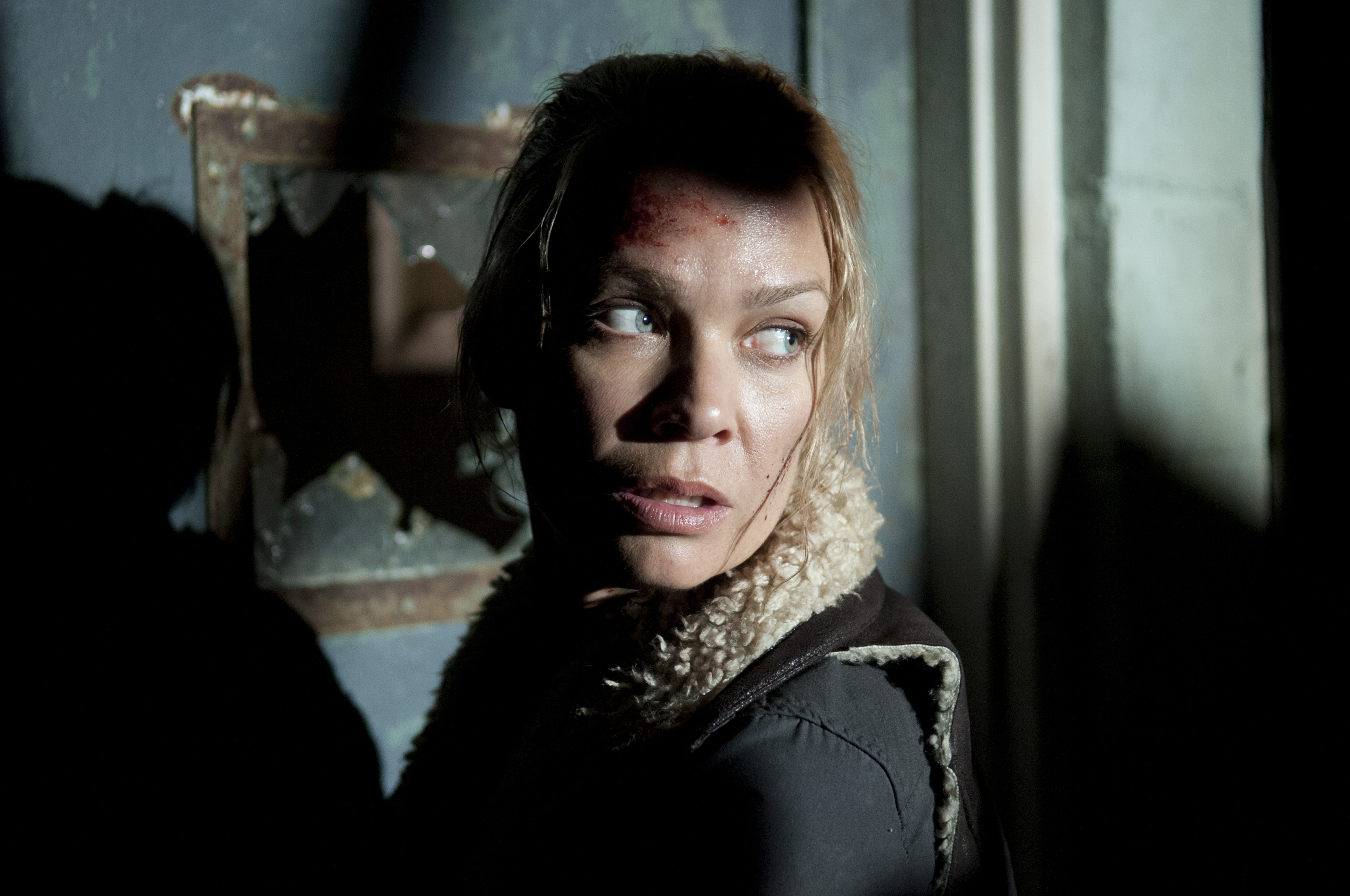 tv show, the walking dead, andrea (the walking dead), laurie holden
