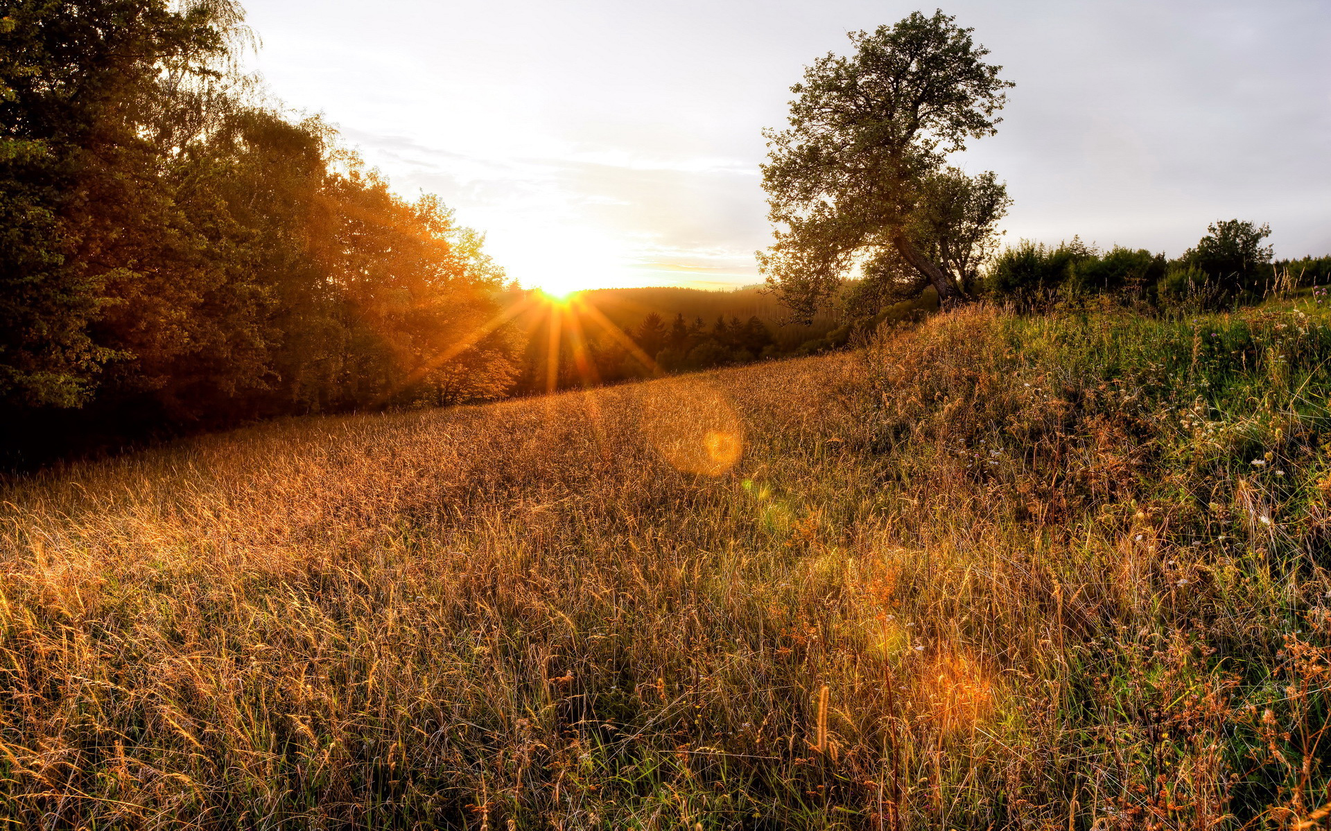 Descarga gratuita de fondo de pantalla para móvil de Rayo De Sol, Tierra/naturaleza.