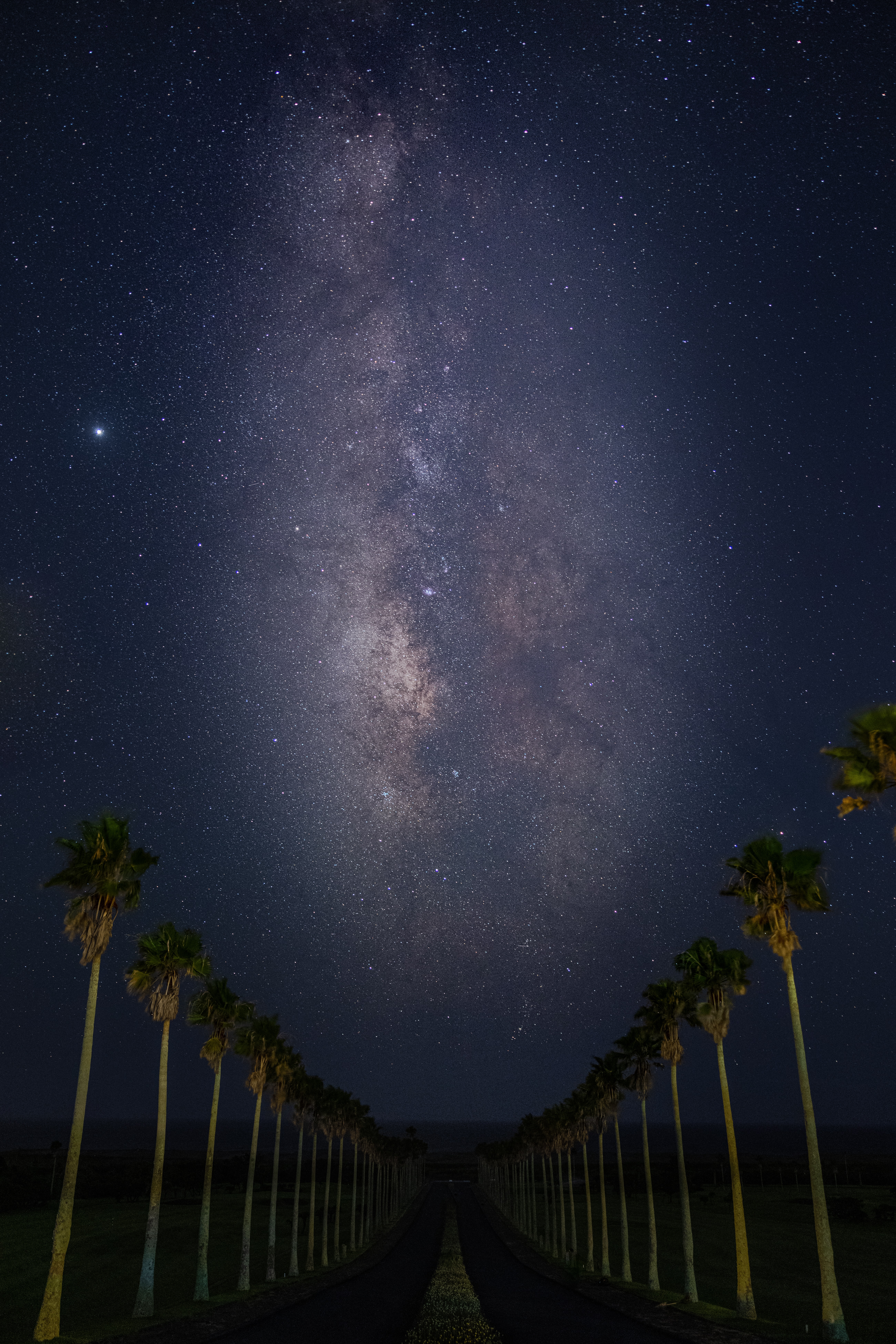Free download wallpaper Stars, Starry Sky, Nature, Palms, Road, Night on your PC desktop