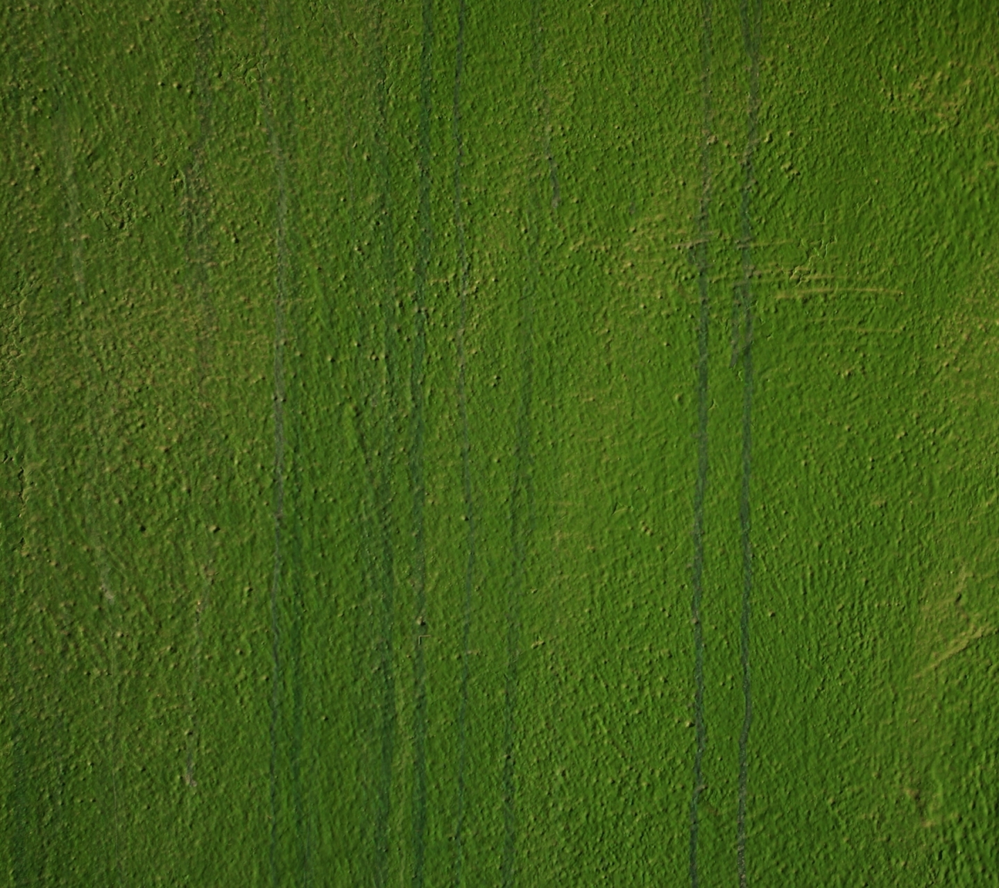 1235602 free download Green wallpapers for phone,  Green images and screensavers for mobile