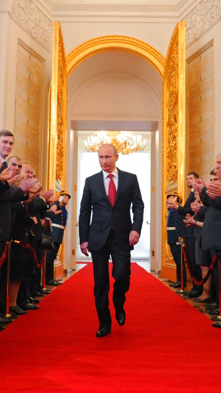 1302335 Protetores de tela e papéis de parede Vladimir Putin em seu telefone. Baixe  fotos gratuitamente
