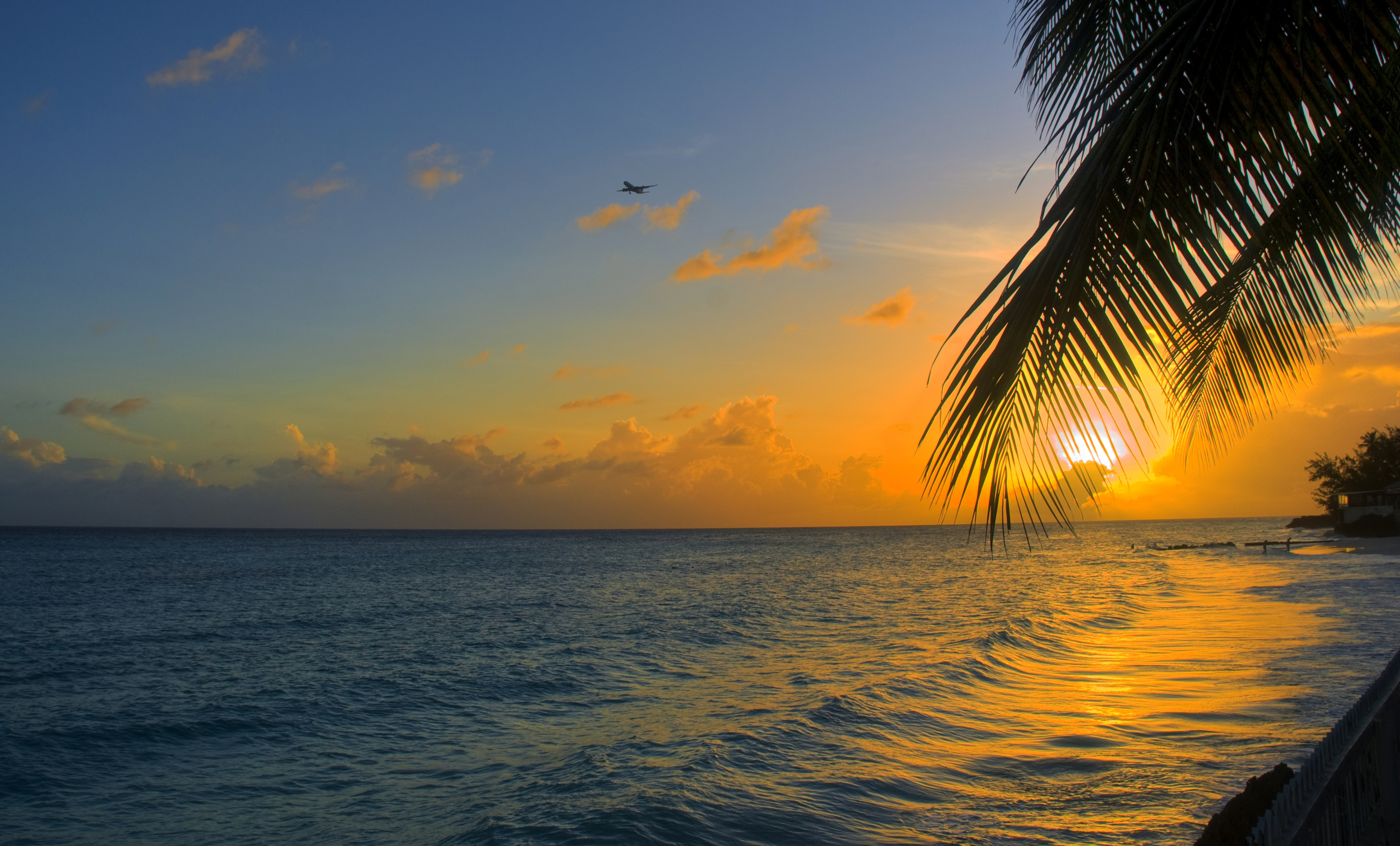 Скачать обои бесплатно Океан, Барбадос, Берег, Природа, Пальма, Закат картинка на рабочий стол ПК