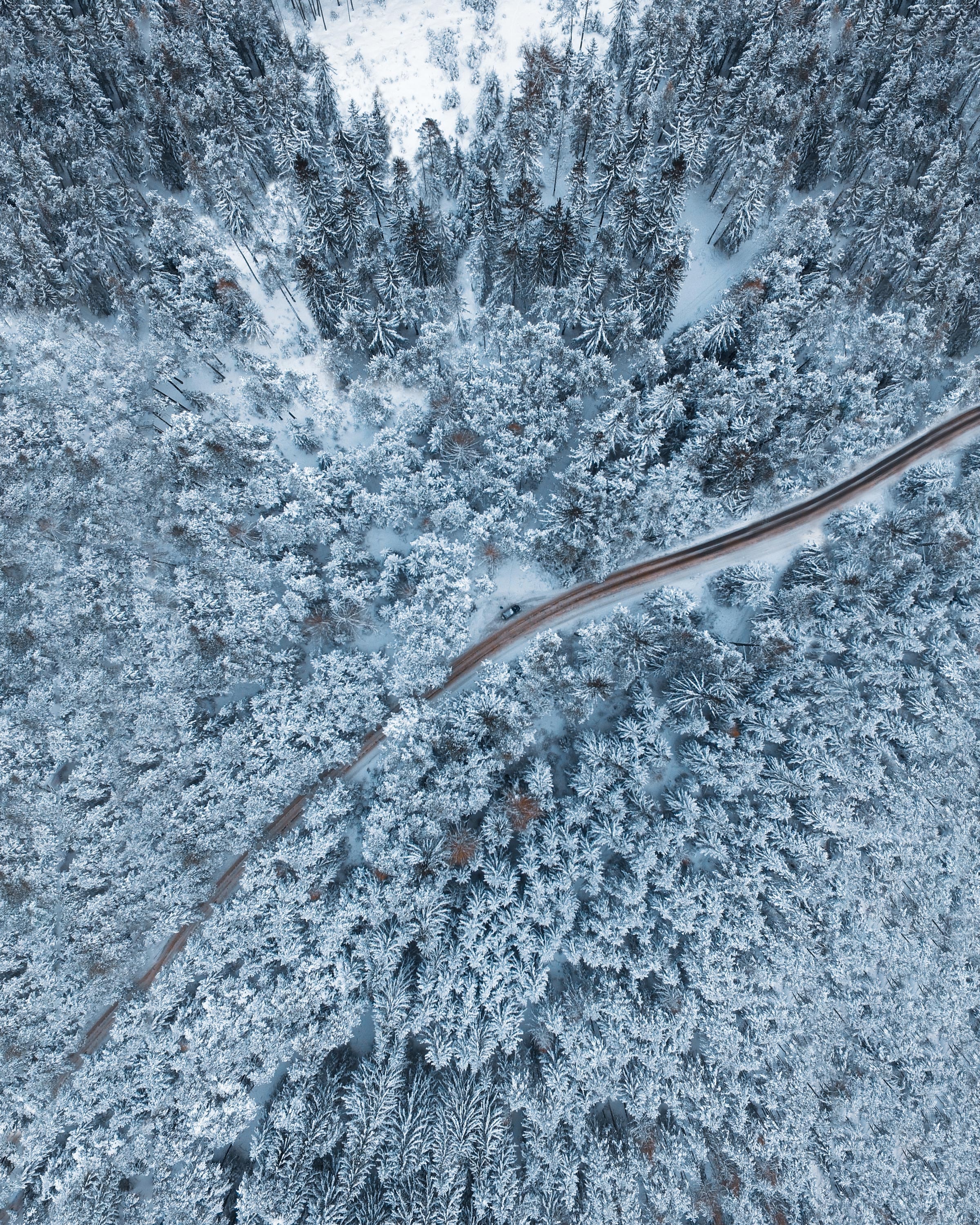 desktop Images winter, snow, nature, trees, view from above, forest, snow covered, snowbound