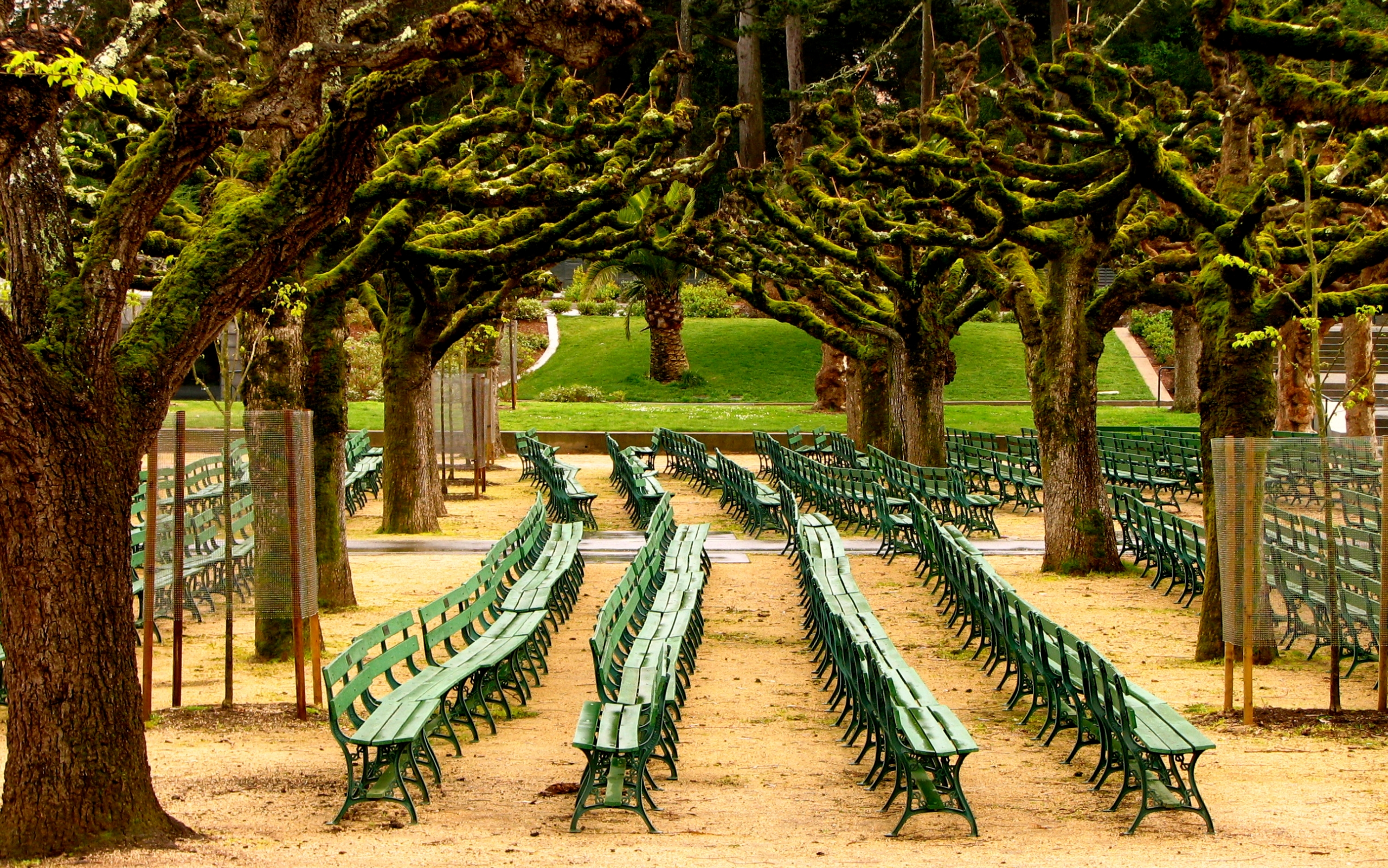 662557 Bild herunterladen menschengemacht, golden gate park - Hintergrundbilder und Bildschirmschoner kostenlos