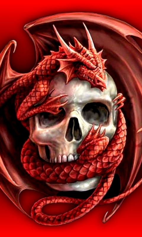 Download mobile wallpaper Dark, Dragon, Skull for free.