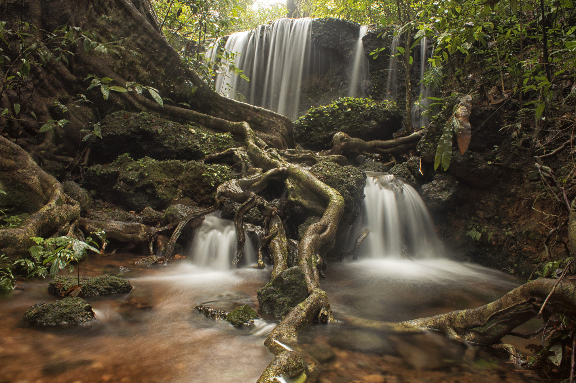 Free download wallpaper Waterfalls, Waterfall, Forest, Earth on your PC desktop