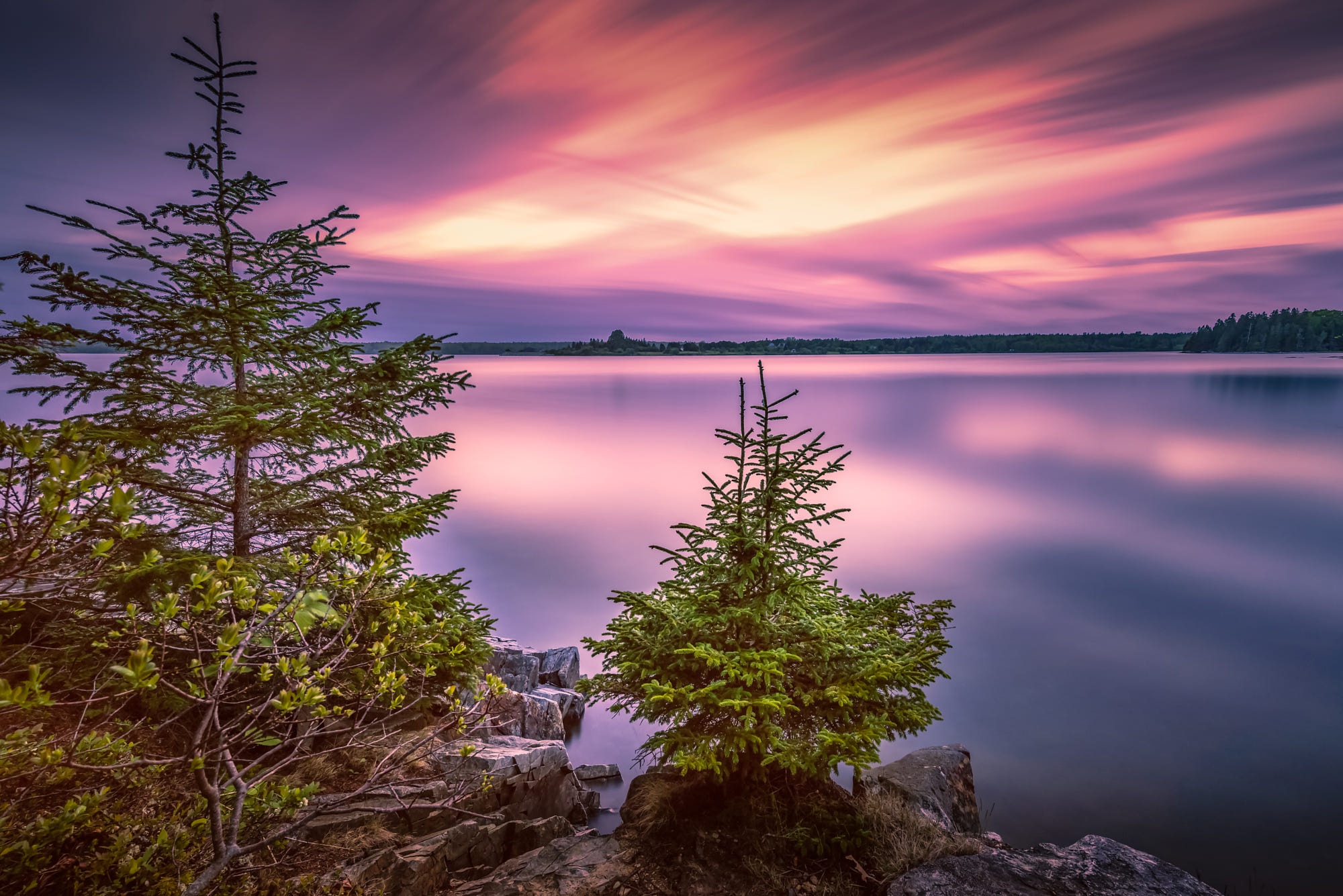 PCデスクトップに風景, 自然, 日没, モミの木, 湖, 地球, 国立公園, アメリカ合衆国画像を無料でダウンロード
