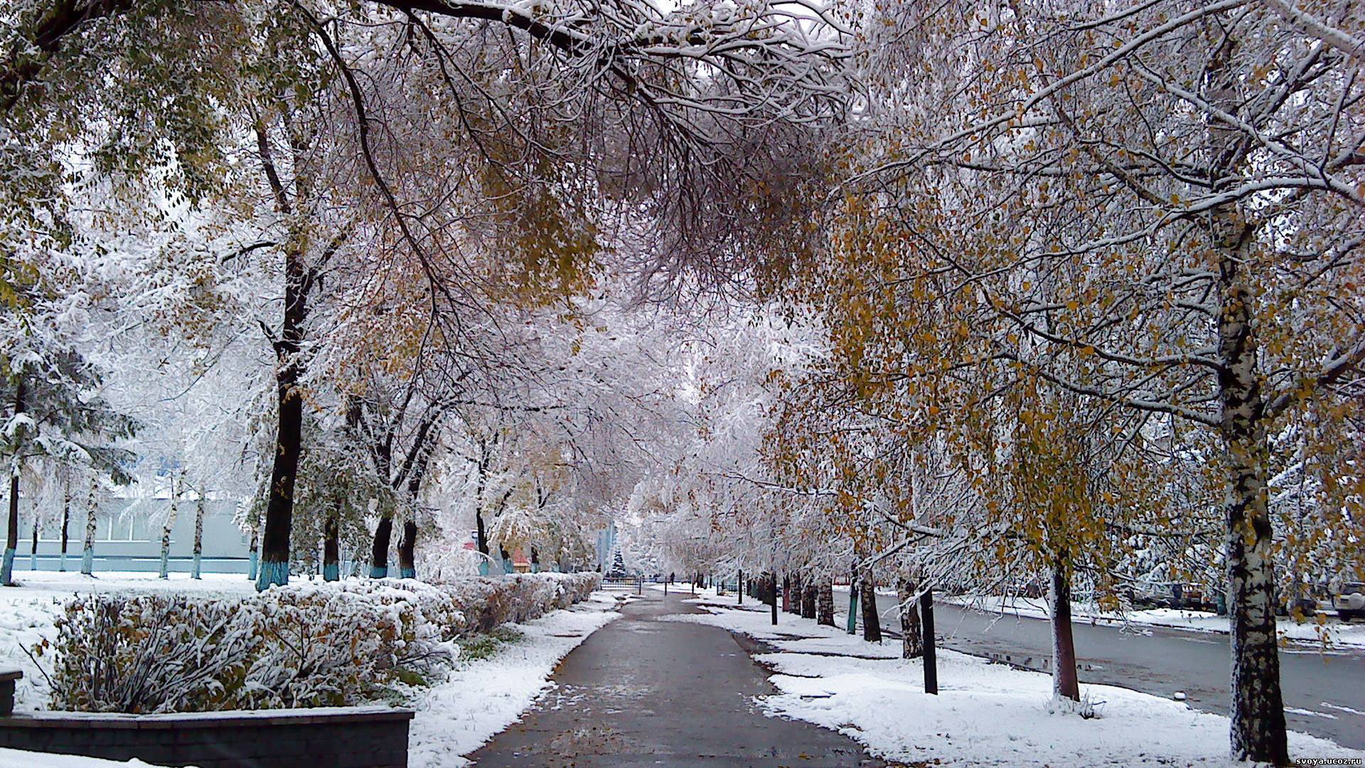Download mobile wallpaper Streets, Landscape, Snow, Trees for free.