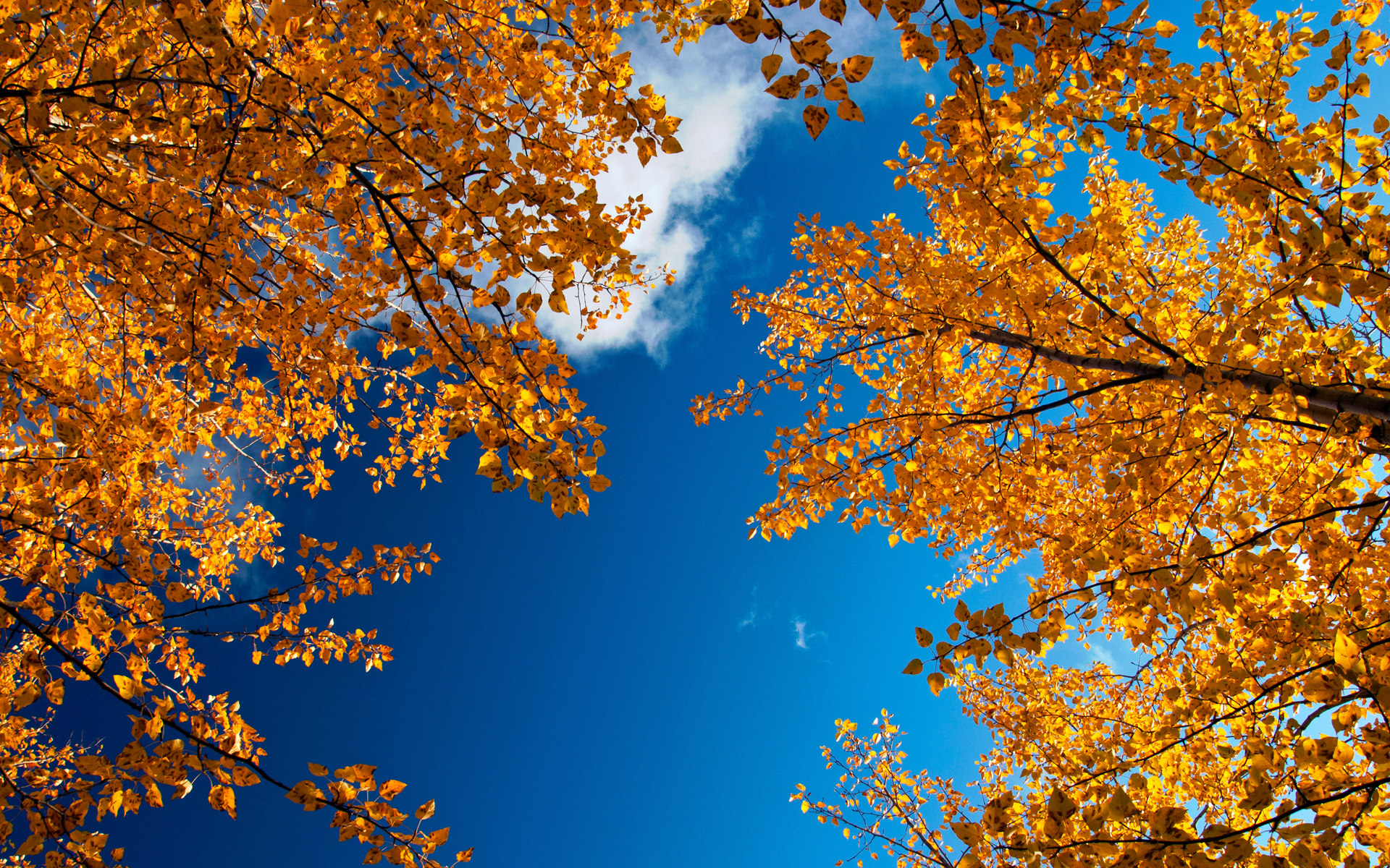 Download mobile wallpaper Fall, Earth for free.