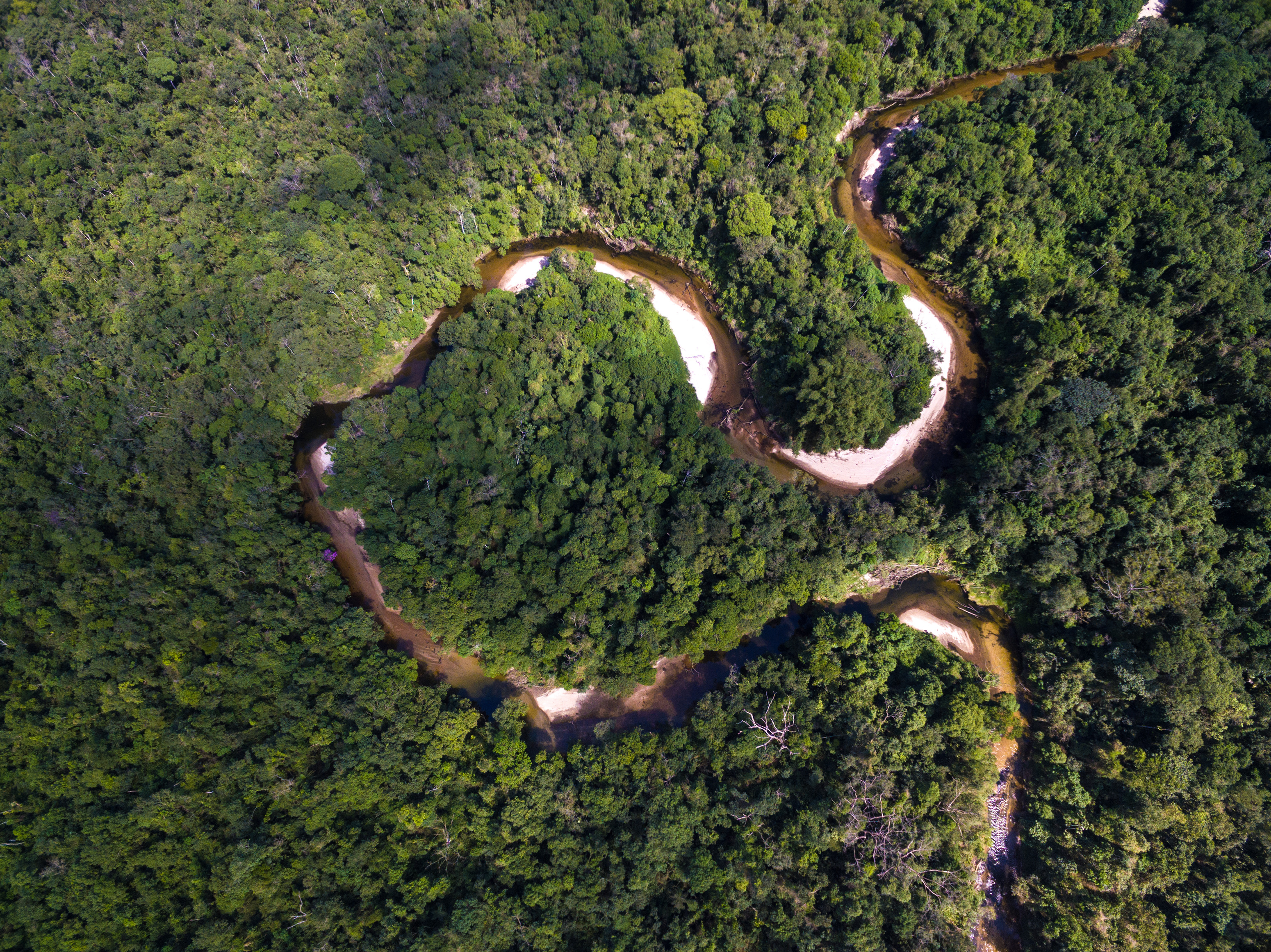 Descarga gratuita de fondo de pantalla para móvil de Naturaleza, Rio, Bosque, Tierra/naturaleza, Fotografía Aérea.