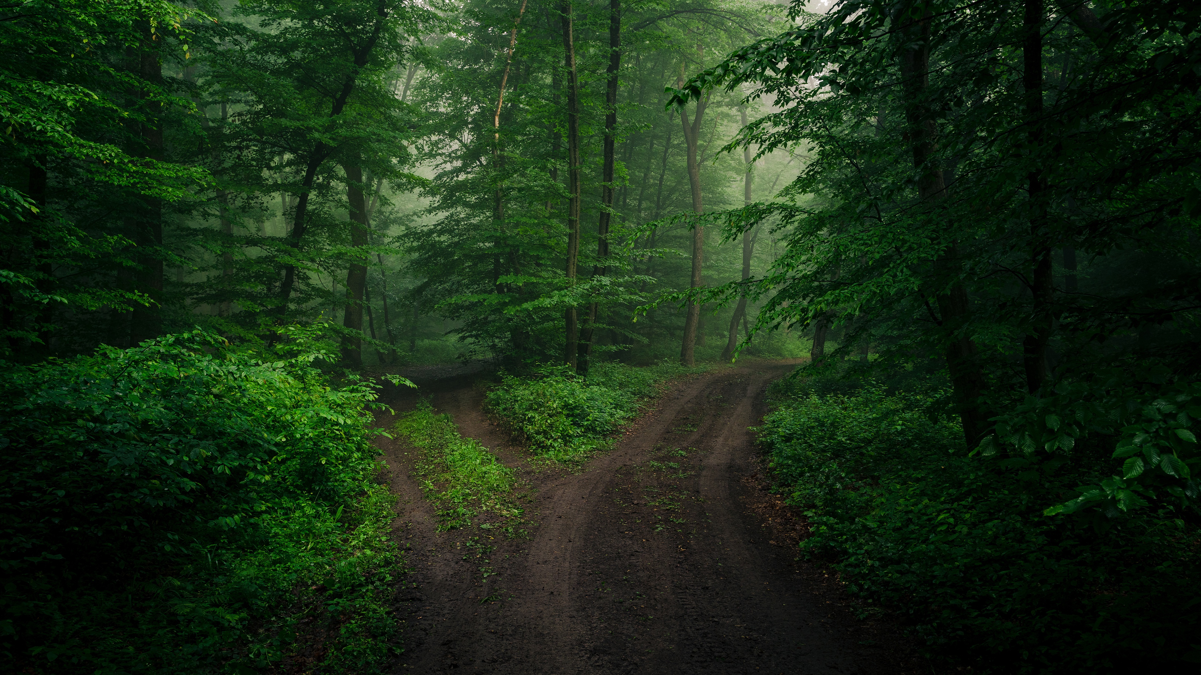 Free download wallpaper Summer, Road, Forest, Path, Man Made on your PC desktop