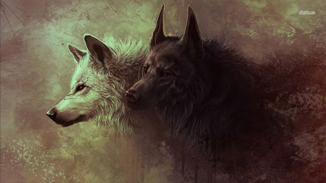 Laden Sie das Tiere, Wolf, Wolves-Bild kostenlos auf Ihren PC-Desktop herunter