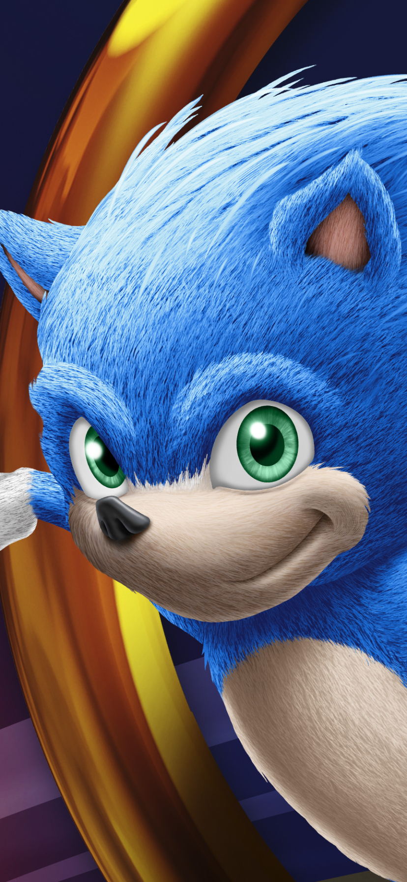 Baixar papel de parede para celular de Filme, Sonic: O Filme, Sonic O Ouriço (Filme) gratuito.
