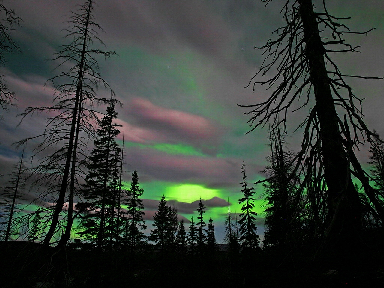 Download mobile wallpaper Earth, Aurora Borealis for free.