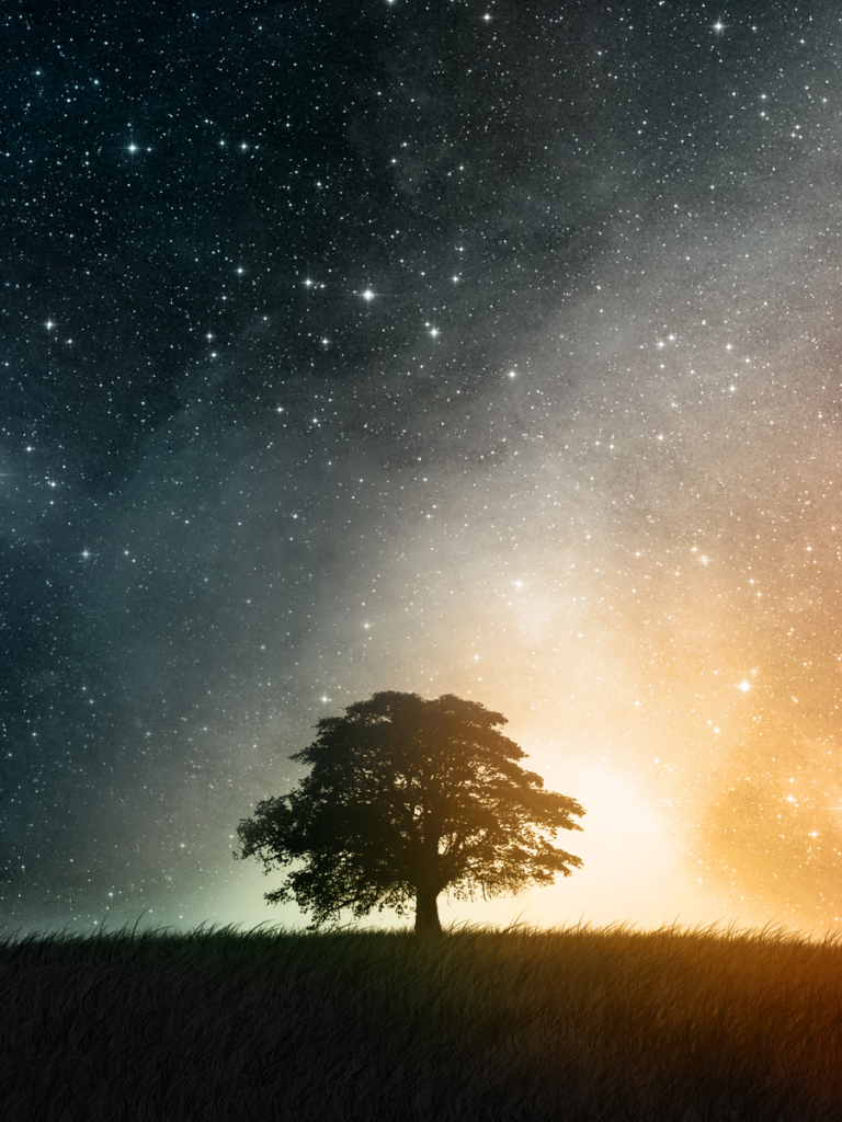 Download mobile wallpaper Landscape, Grass, Sky, Stars, Tree, Earth, Space, A Dreamy World for free.