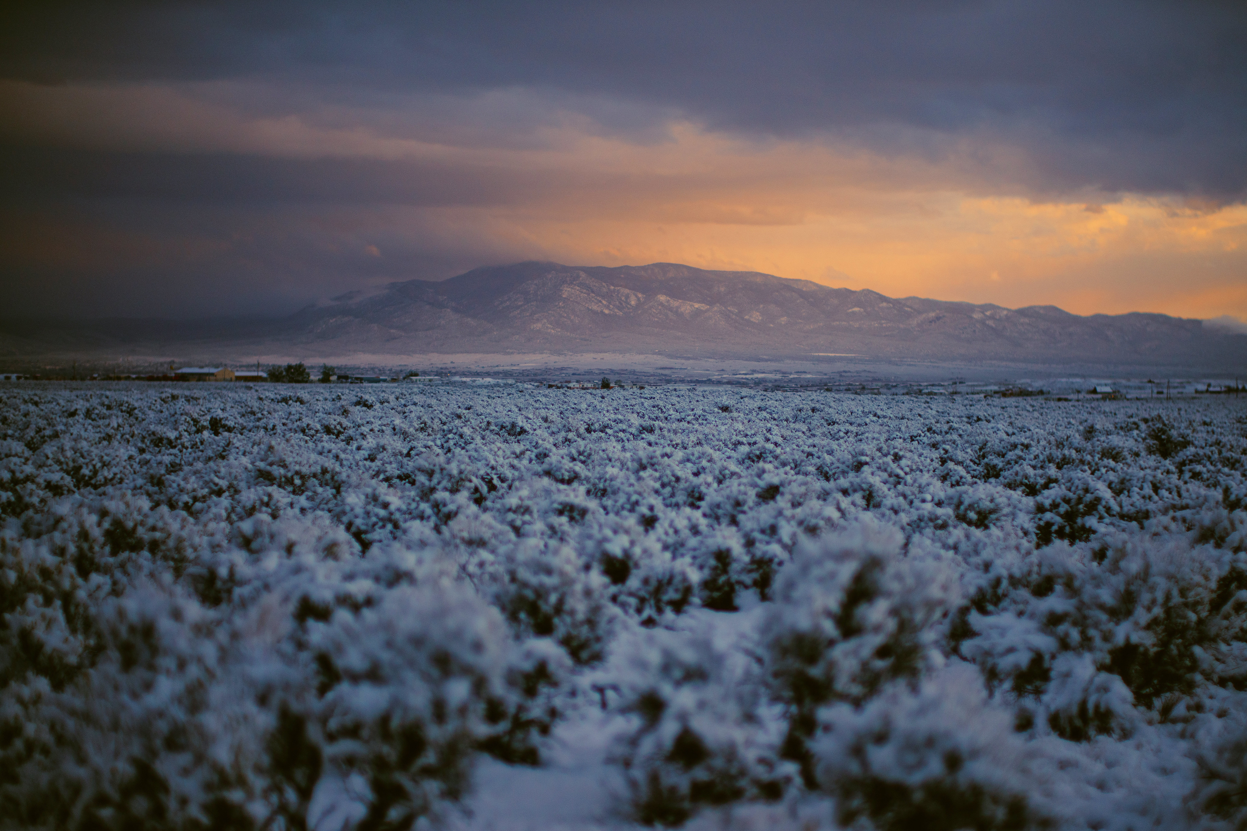1045594壁紙のダウンロード地球, 風景, ニューメキシコ州, 雪-スクリーンセーバーと写真を無料で